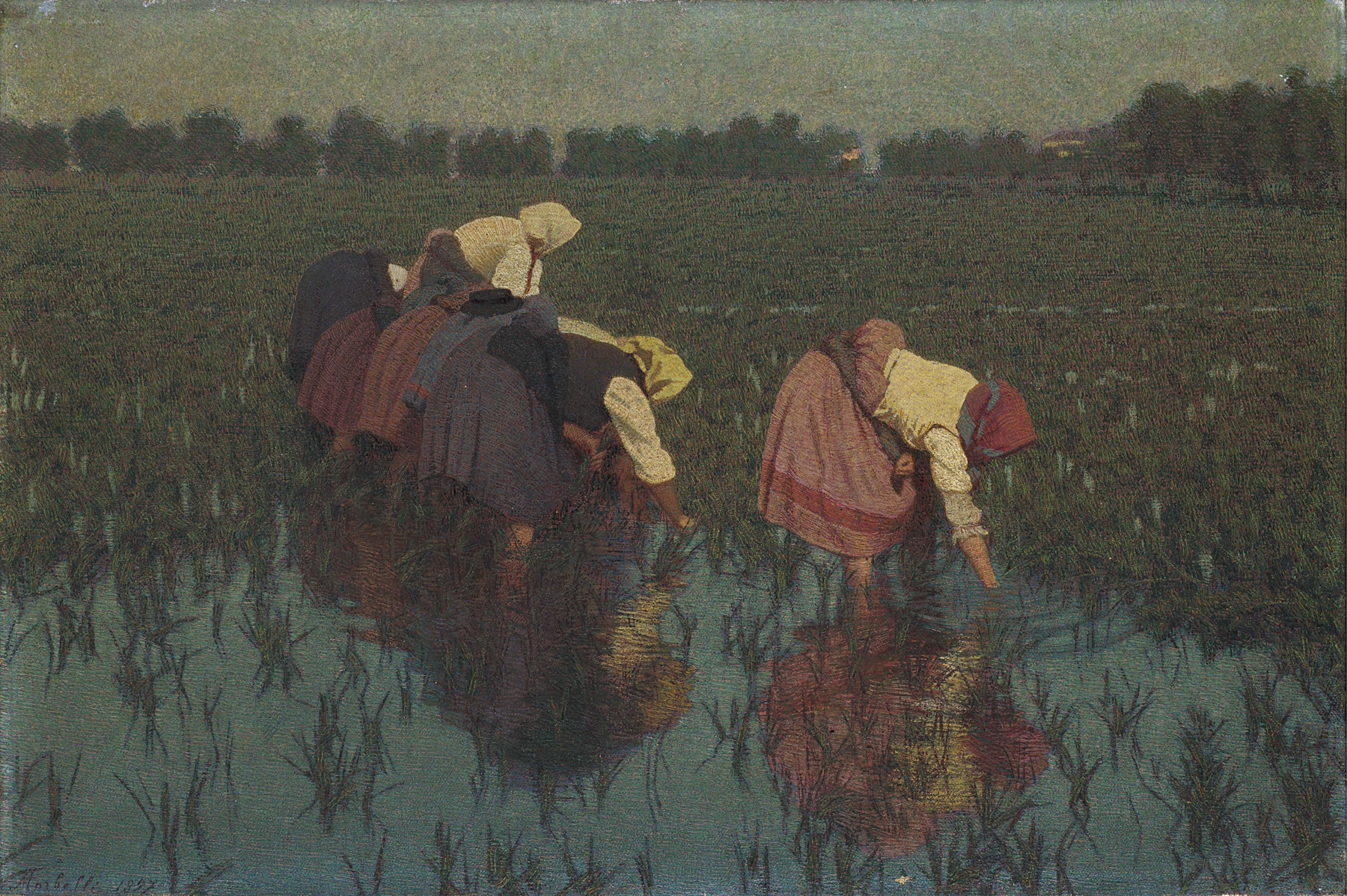 Le risaiuole by Angelo Morbelli, oil painting showing women laboring in a rice field with golden light