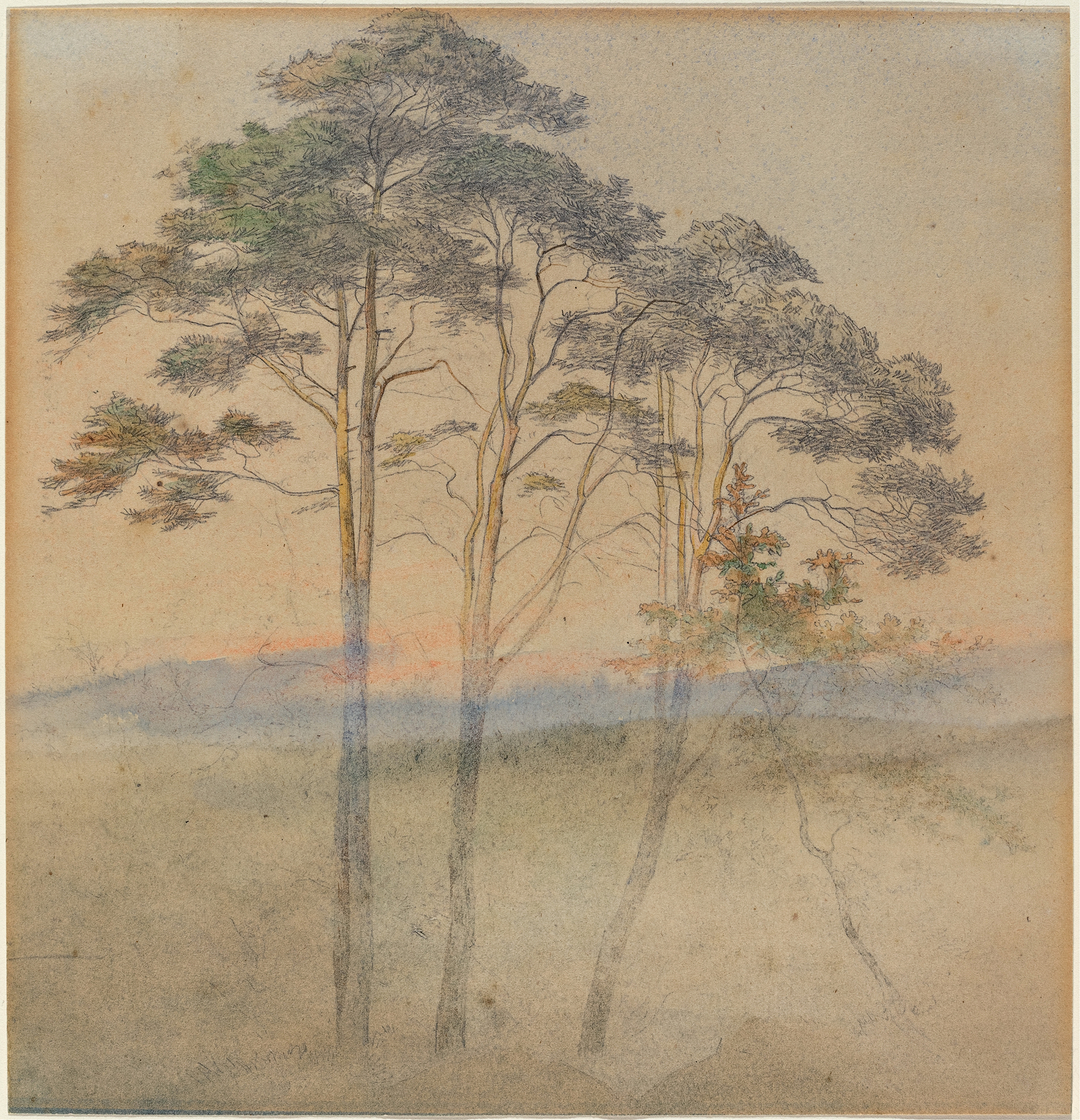 Landscape with pines in morning fog, oil on canvas by Ernst Ferdinand Oehme