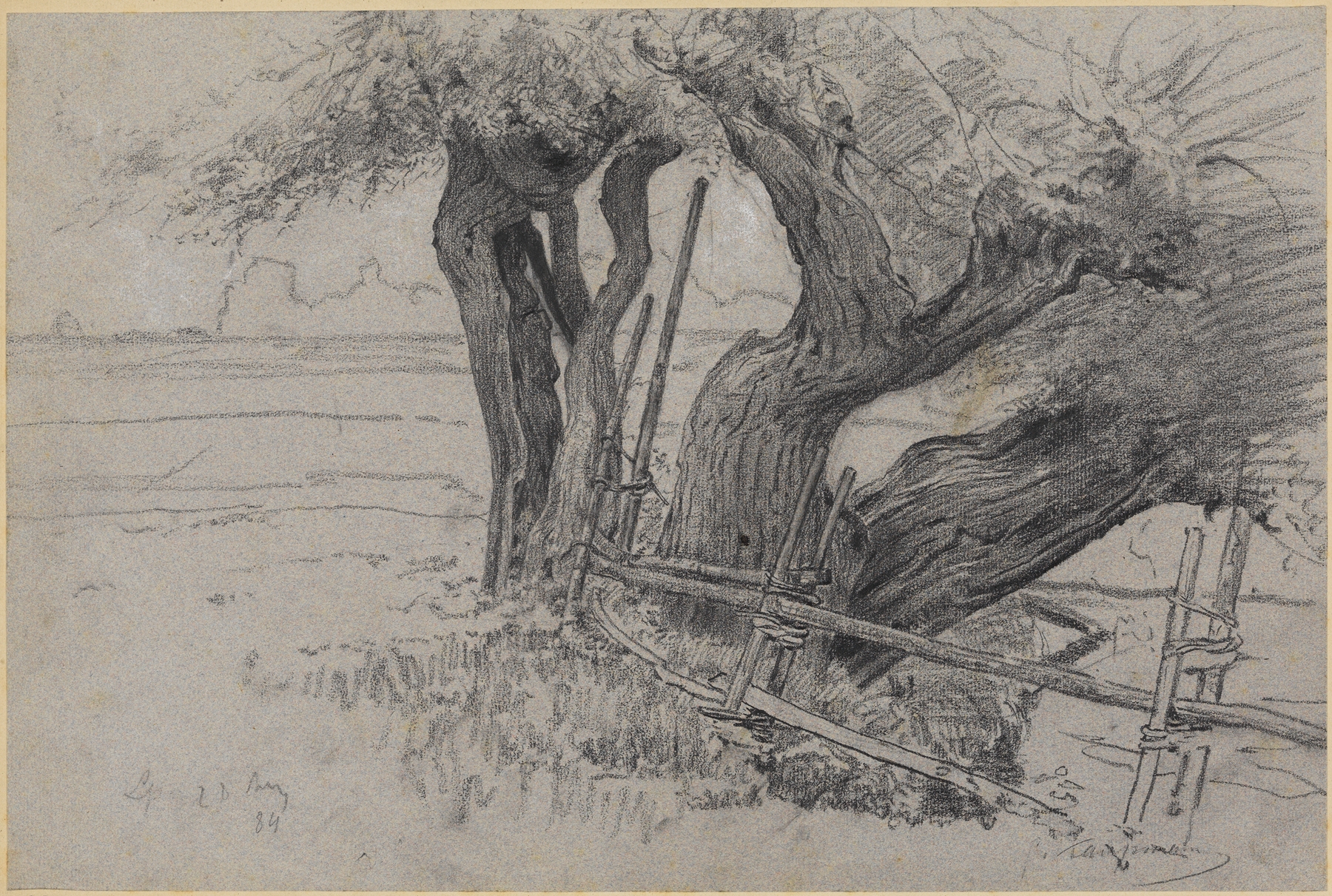 Oil on canvas by Gustav Kampmann depicting willows under a muted sky
