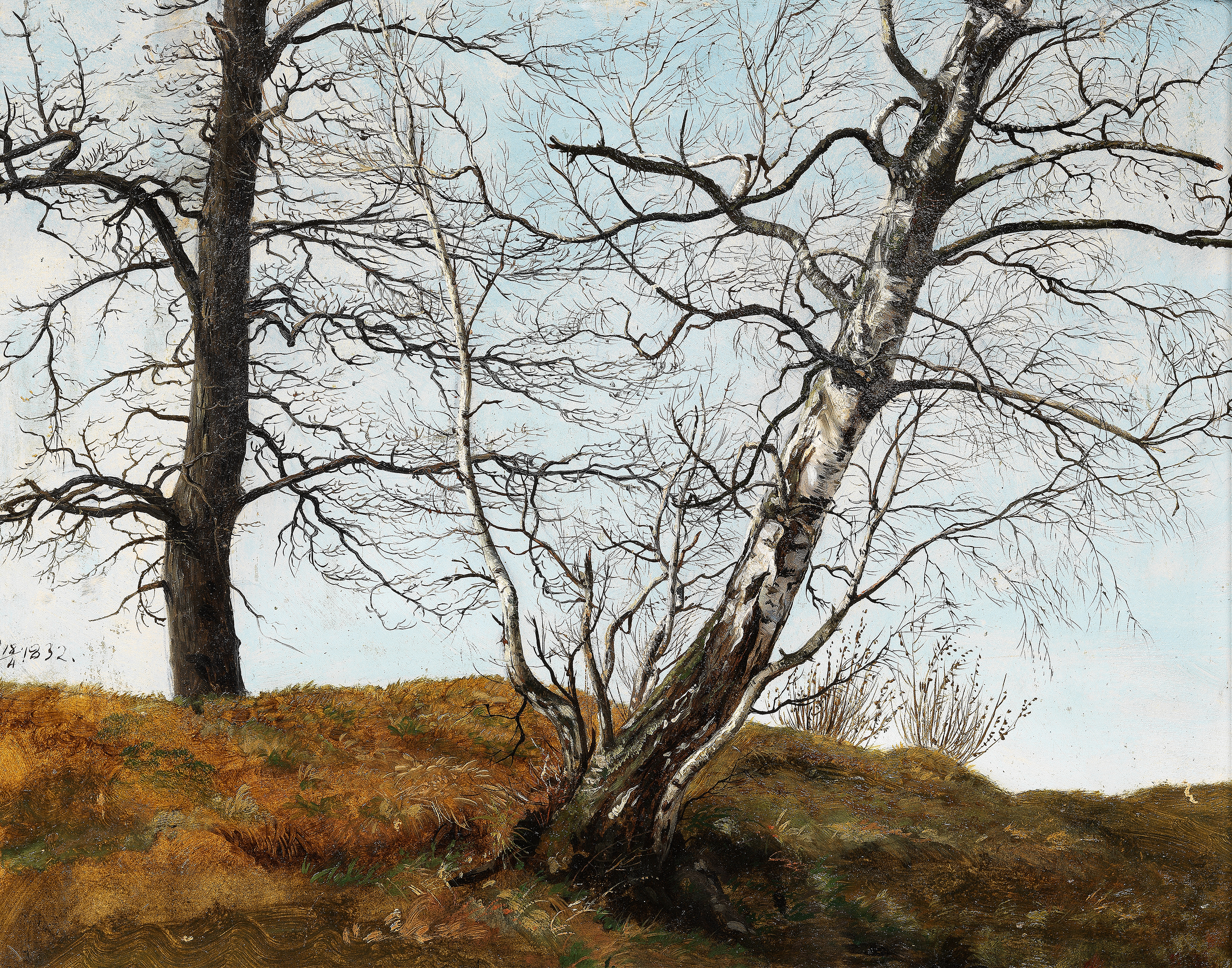 Oak and Birch by Carl Julius von Leypold, oil painting depicting oak and birch trees in a tranquil landscape.