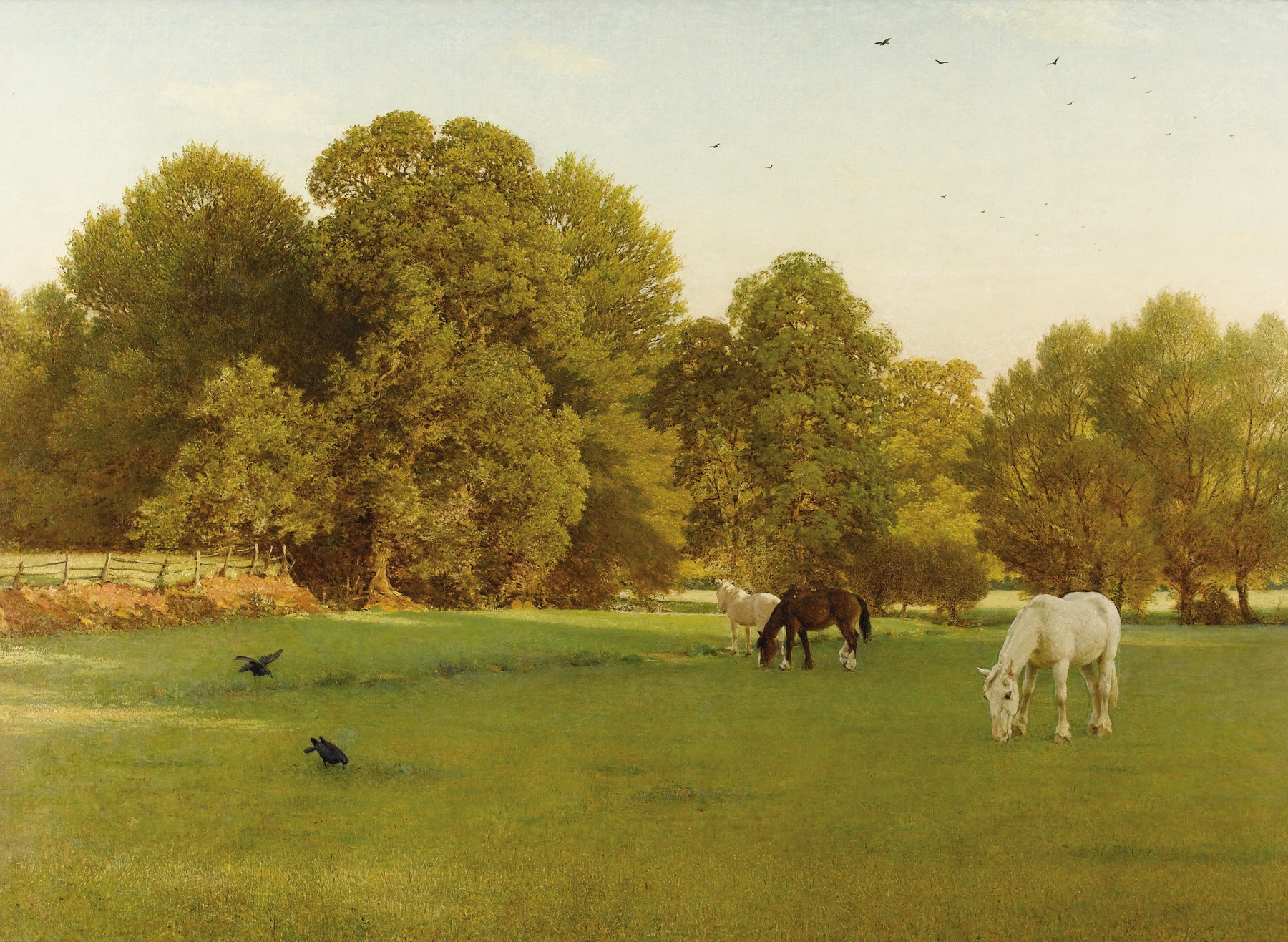 Girl reading a book in sunlight, oil on canvas by George Dunlop Leslie