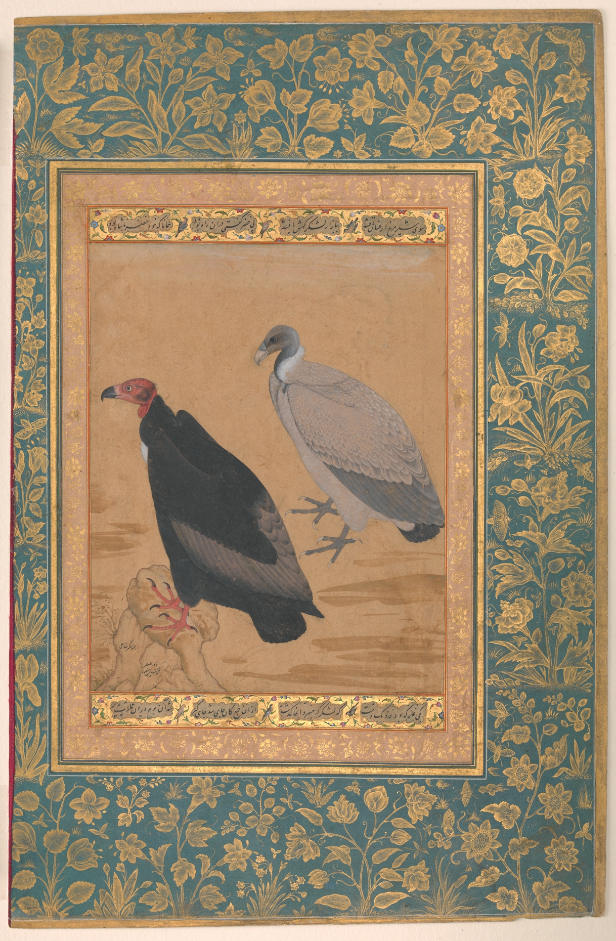 Gold folio by Mansur depicting a red-headed vulture and long-billed vulture
