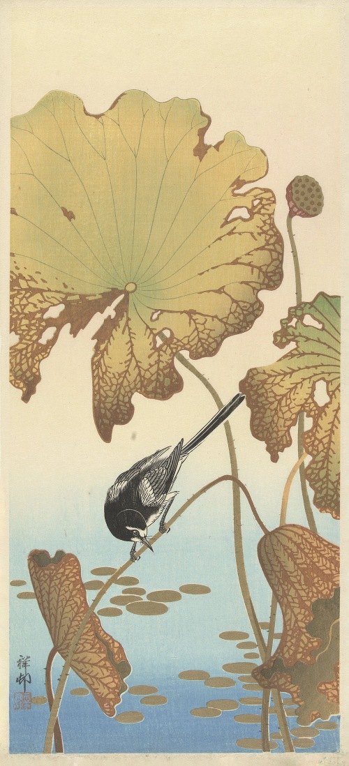 A Japanese wagtail perched on a lotus plant, showcasing traditional Japanese art.
