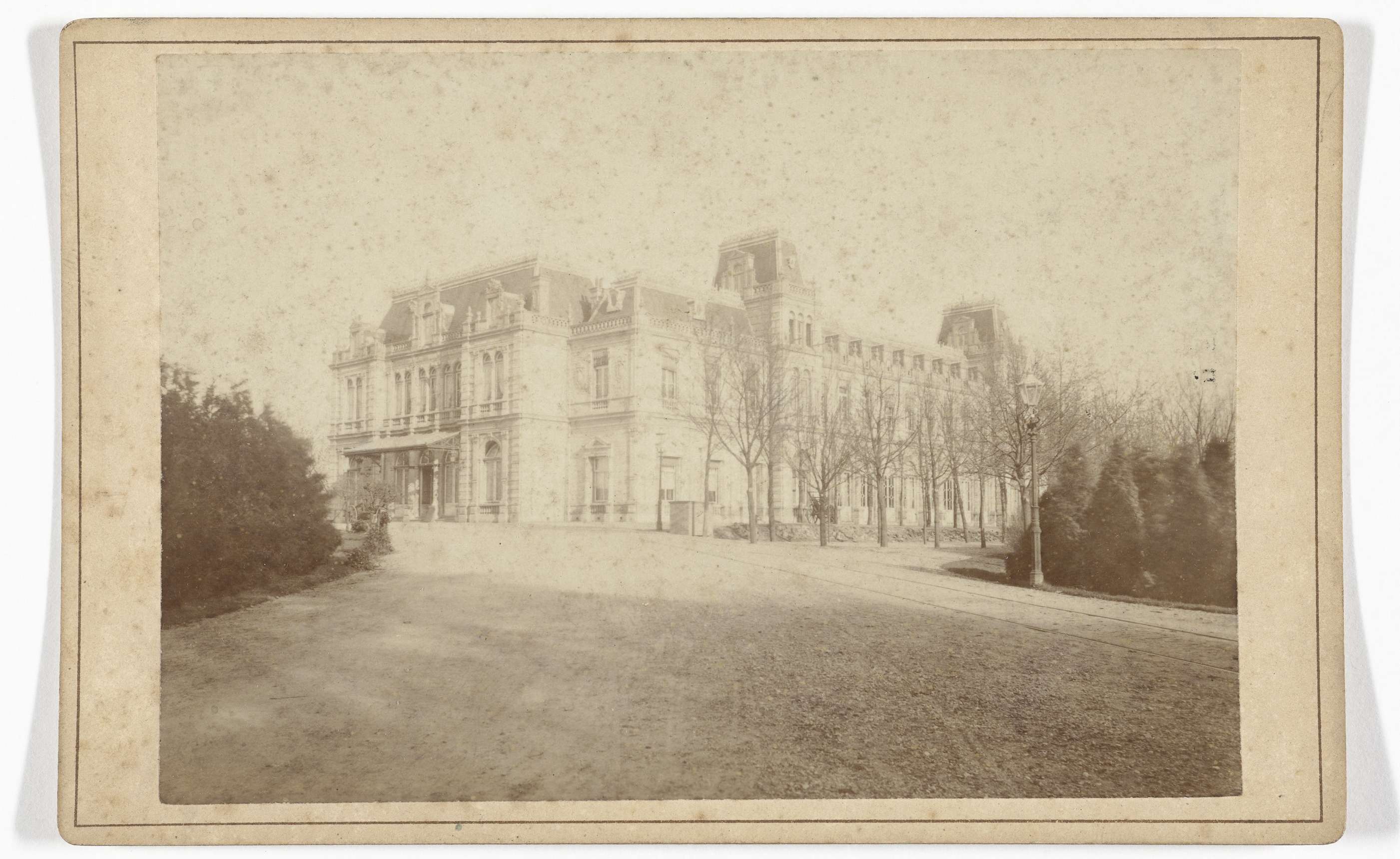 Botanical scene featuring a garden, albumen print by J.S.J. de Jongh