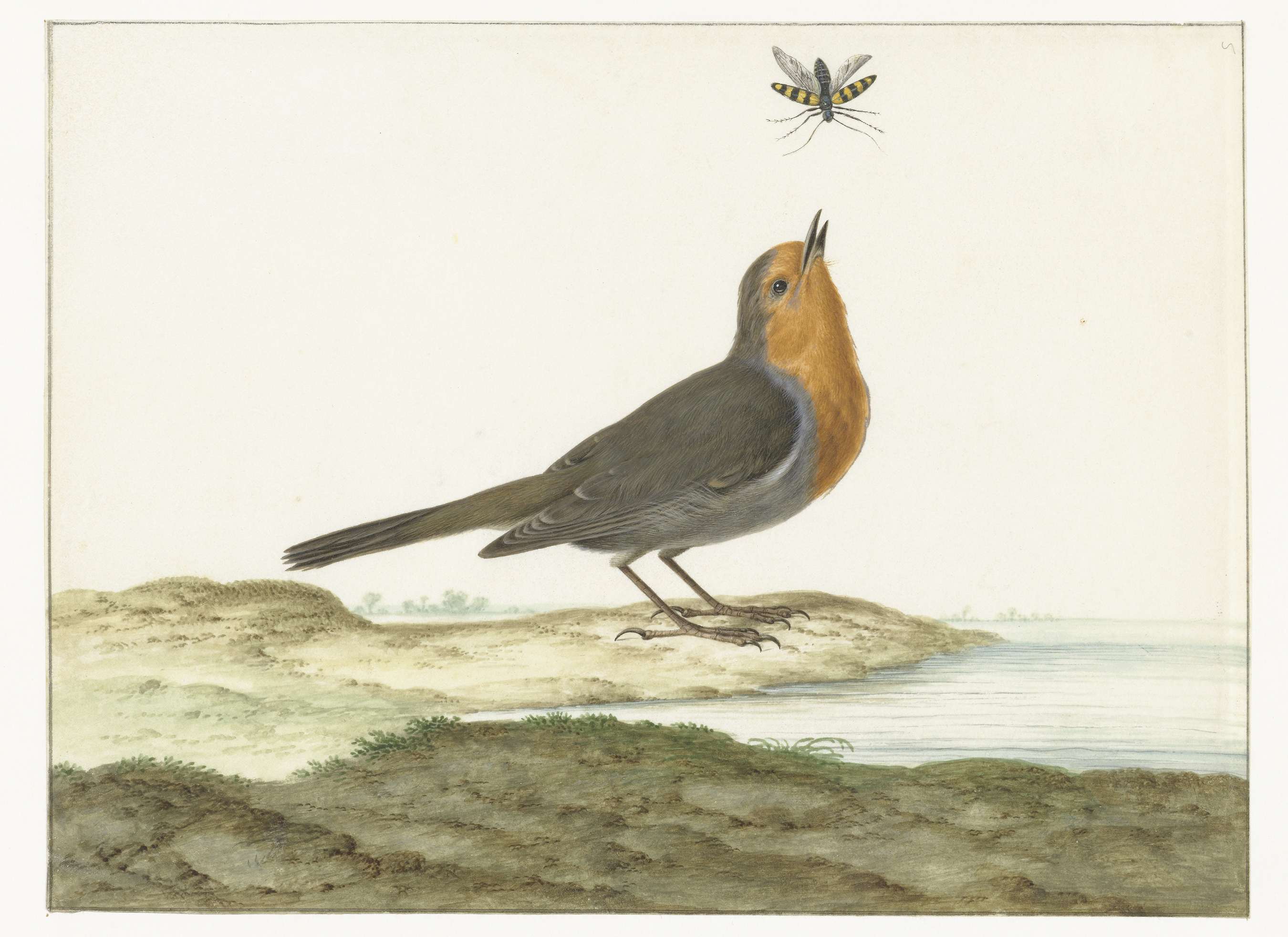 Roodborstje, oil on canvas by Johannes Bronkhorst, features a robin perched on a branch.