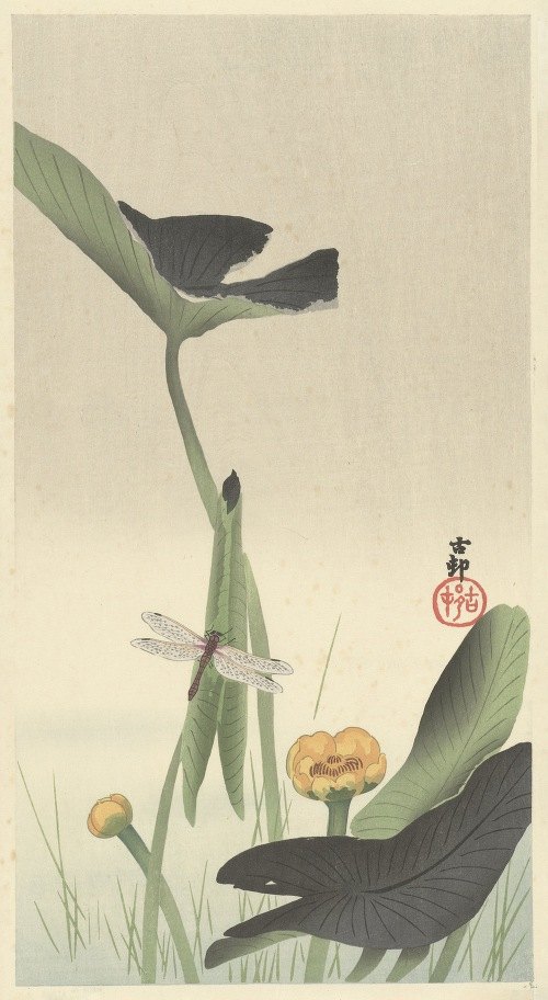 A beautiful depiction of a dragonfly resting on a lotus flower.