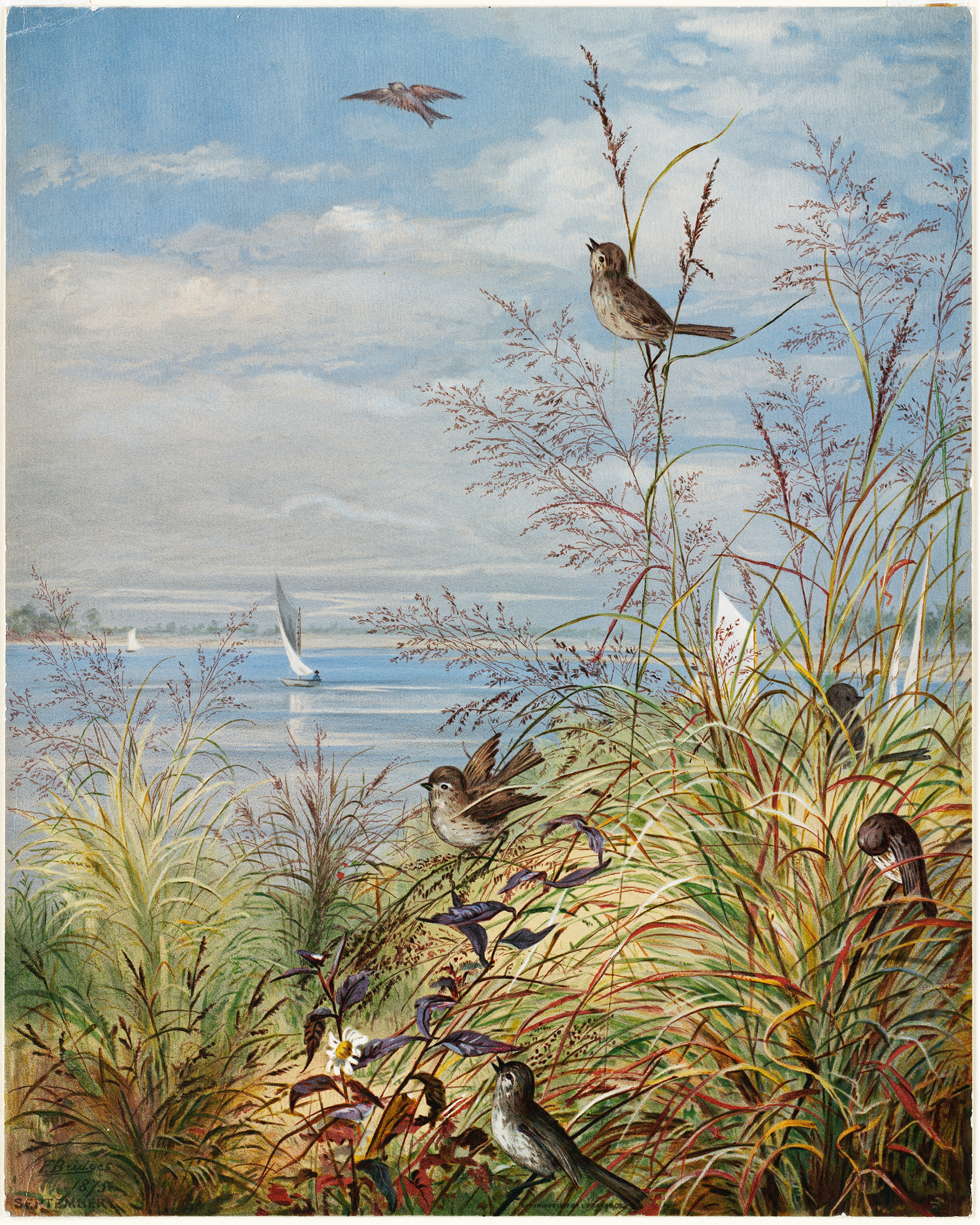 Watercolour by Fidelia Bridges depicting barren branches and pale sky