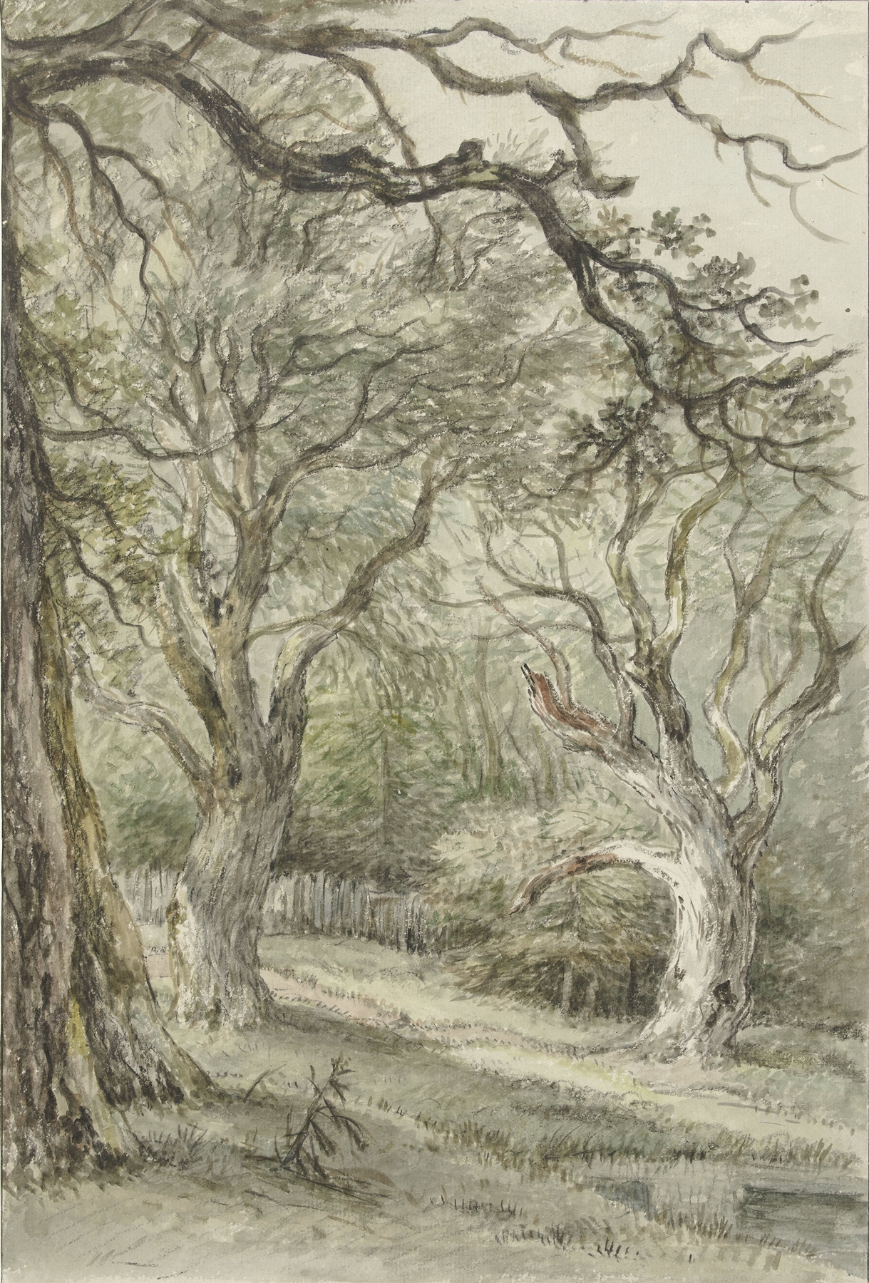 Bosgezicht, by Jan Hulswit, public domain