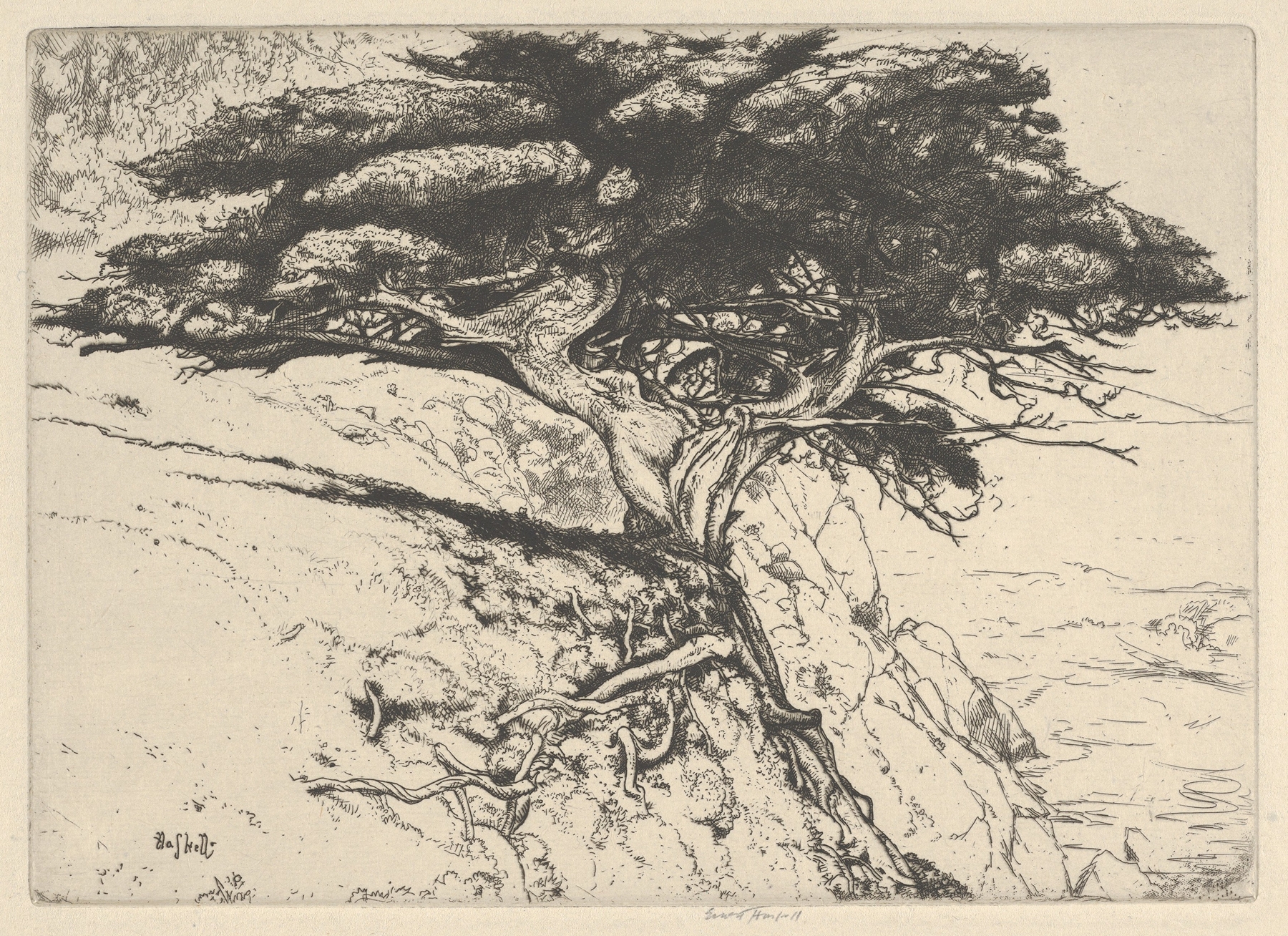 Fan Tree by Ernest Haskell, watercolor on paper depicting a vibrant landscape with intricate tree forms.