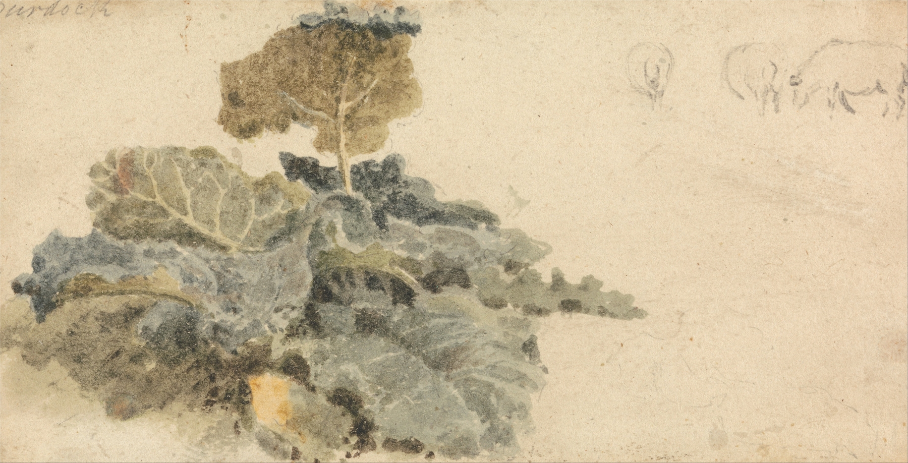 Study of Burdocks, by Peter DeWint, public domain