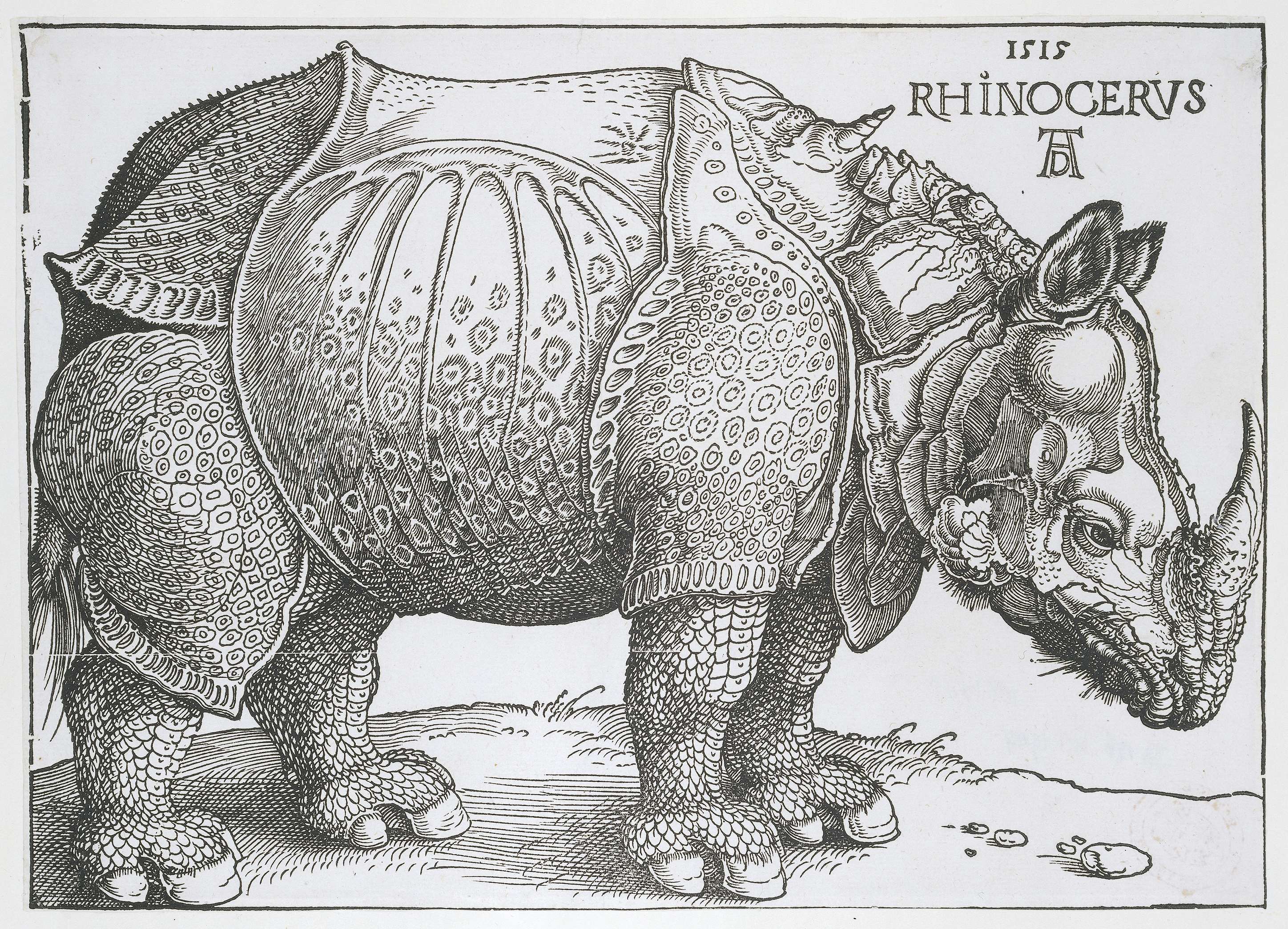 Neushoorn, by Albrecht Dürer, public domain