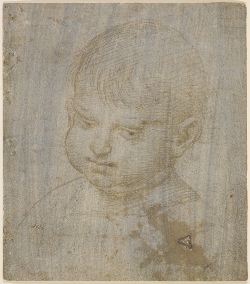 A detailed study of a child's head by Raphael, showcasing his skill in portraiture.