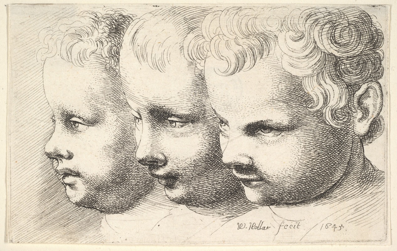 A captivating etching by Wenceslaus Hollar featuring three children's heads.
