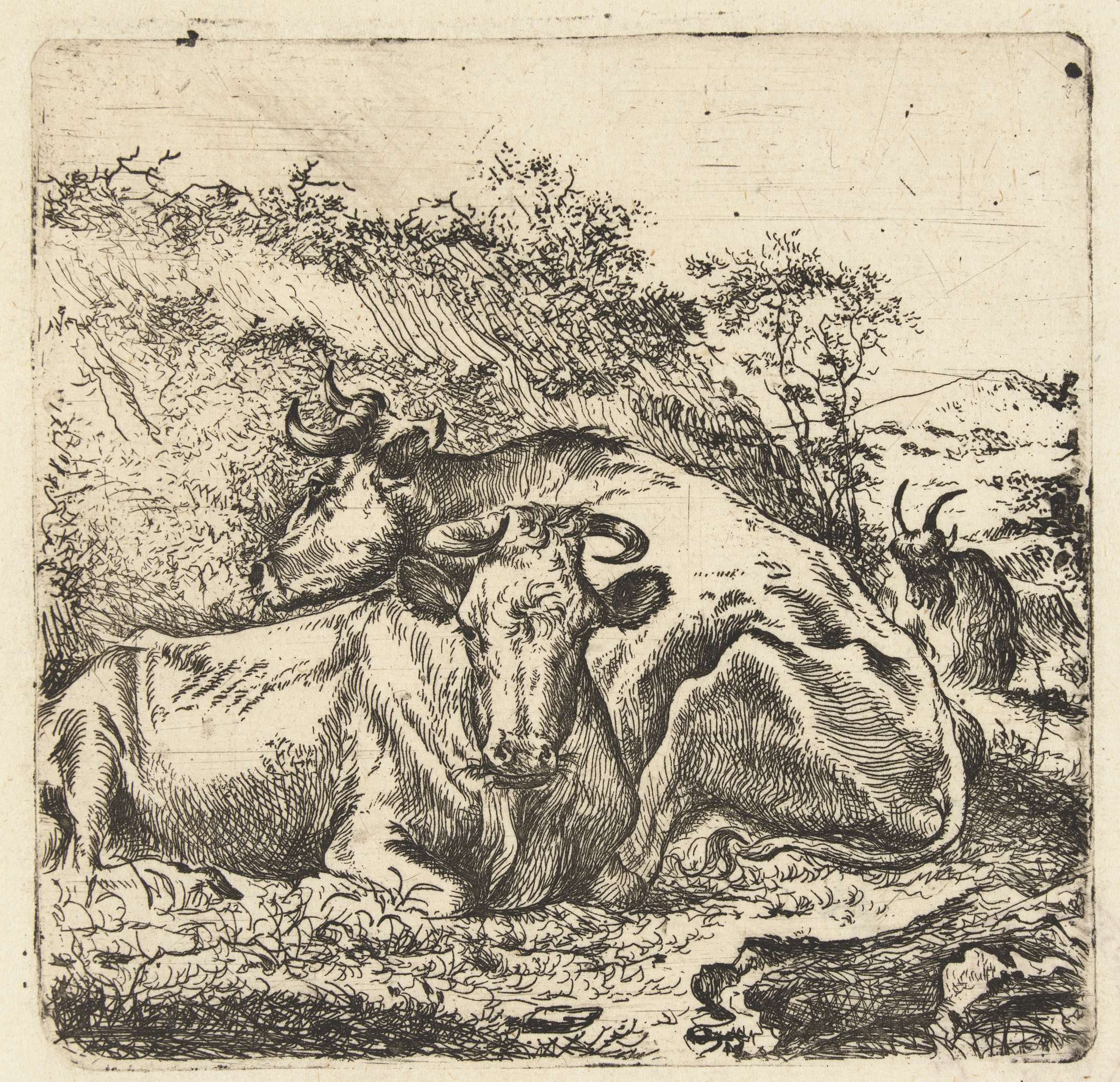 Landschap met twee rustende koeien, etching by Unknown Artist, features two cows in a serene landscape.