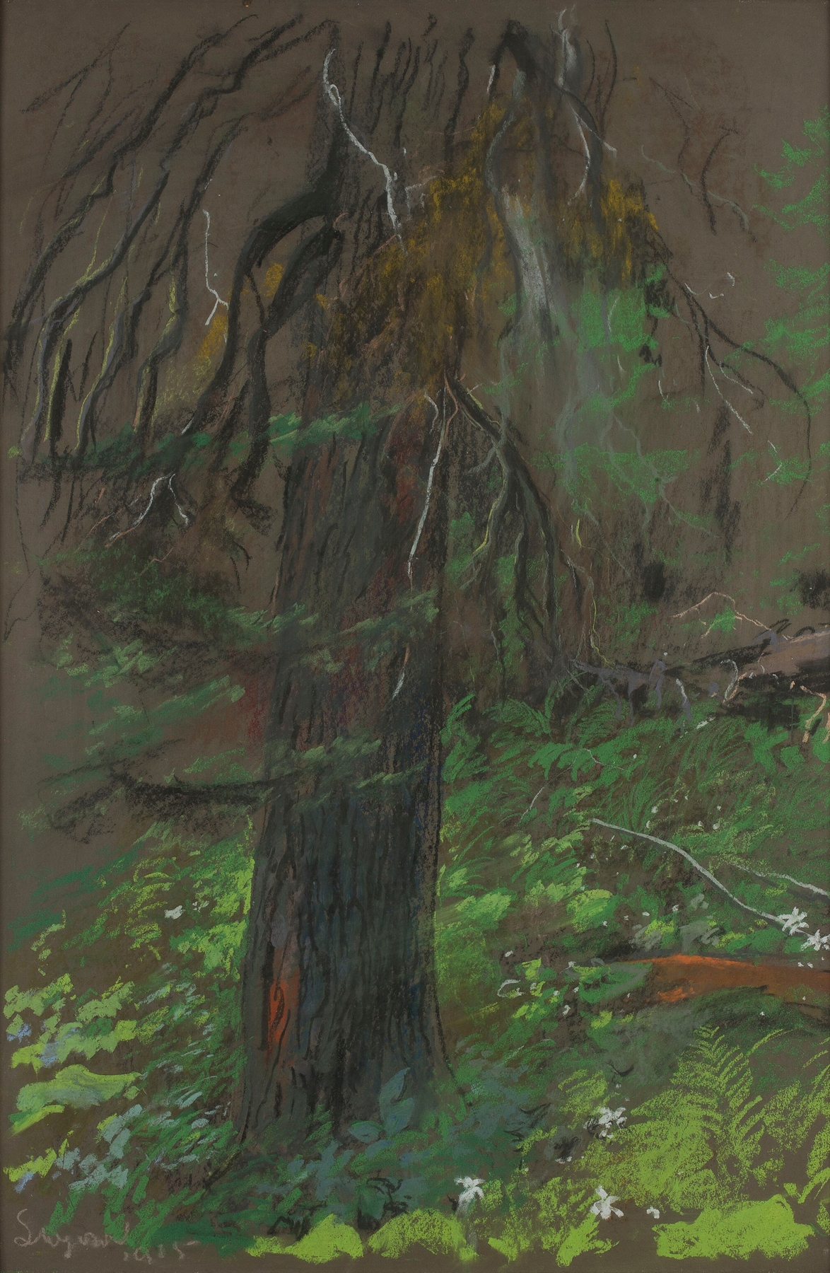 Spruce by Leon Wyczółkowski, oil painting depicting a serene forest with deep greens and browns.