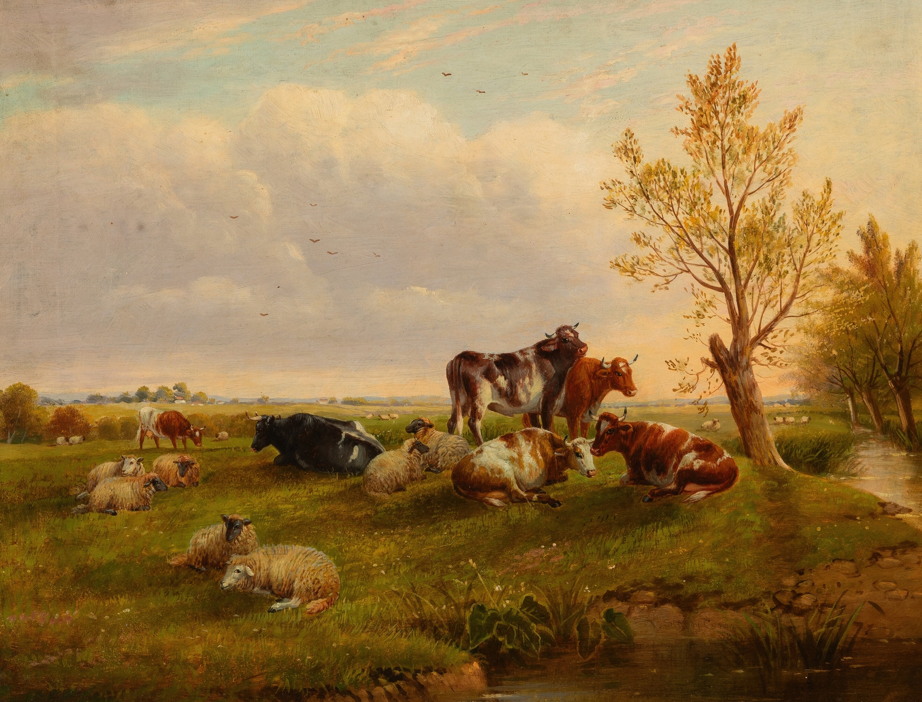 Cows and sheep beside a stream, oil painting by Thomas Sidney Cooper