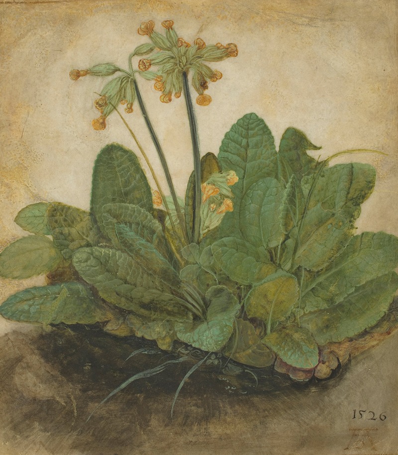 A detailed depiction of cowslips in a natural setting by Albrecht Dürer.