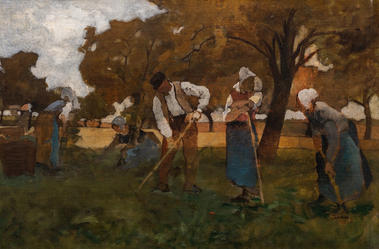 Hoeing White Beats in Picardy, study