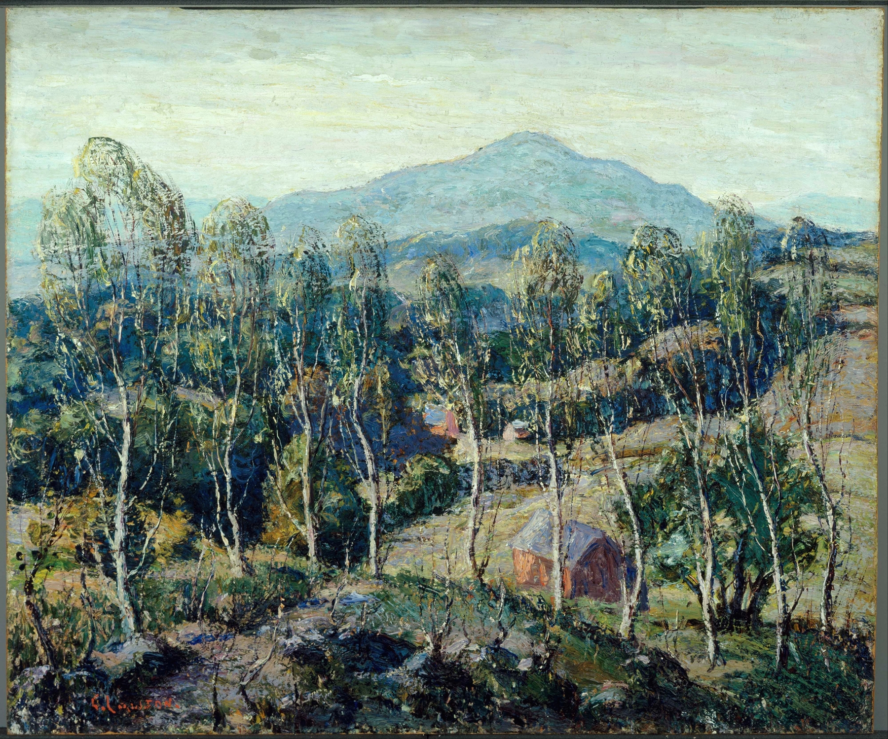 New England Birches, by Ernest Lawson, public domain