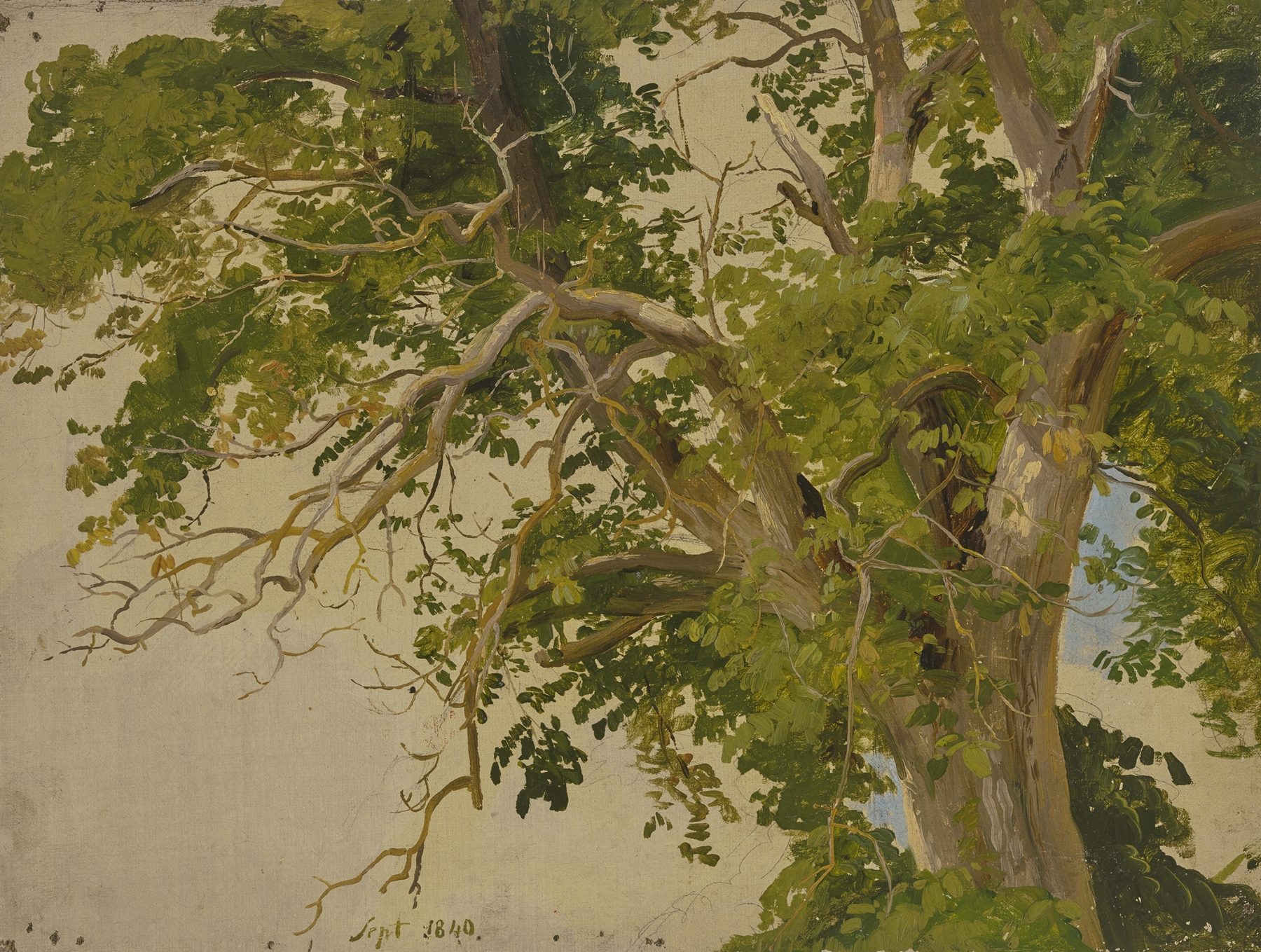 Treetop by Jakob Becker, oil on canvas depicting sunlight filtering through trees.