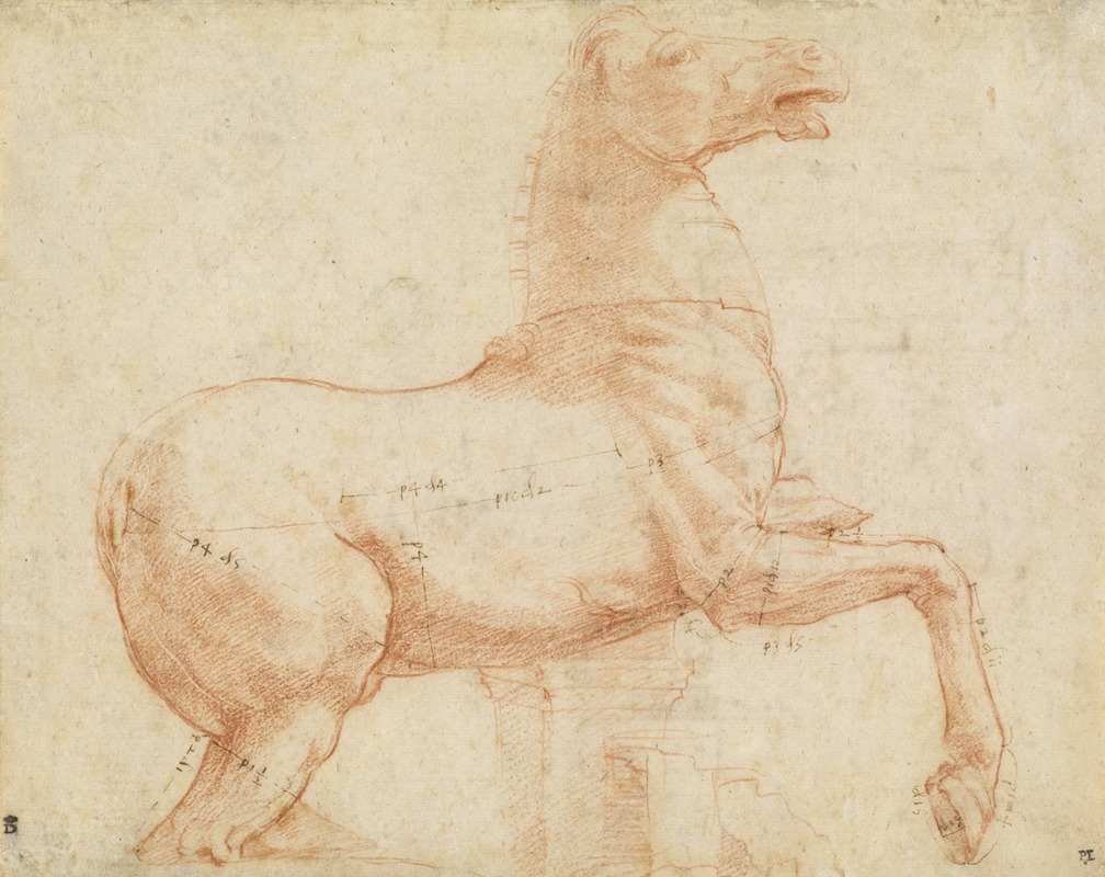 A detailed study of a marble horse by Raphael.