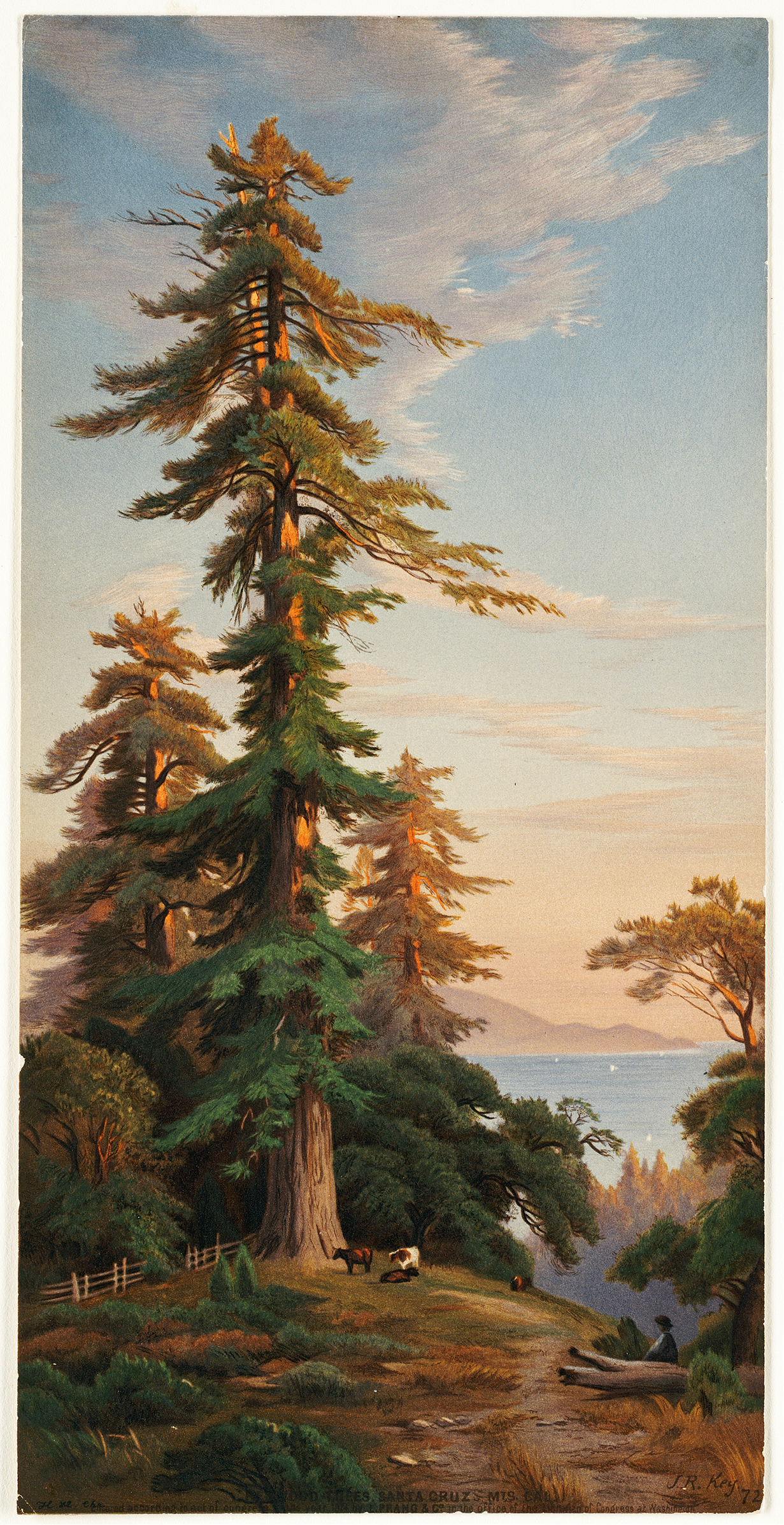 Redwood Trees, Santa Cruz Mts., Cal by John Ross Key, oil painting depicting towering redwoods in a forest