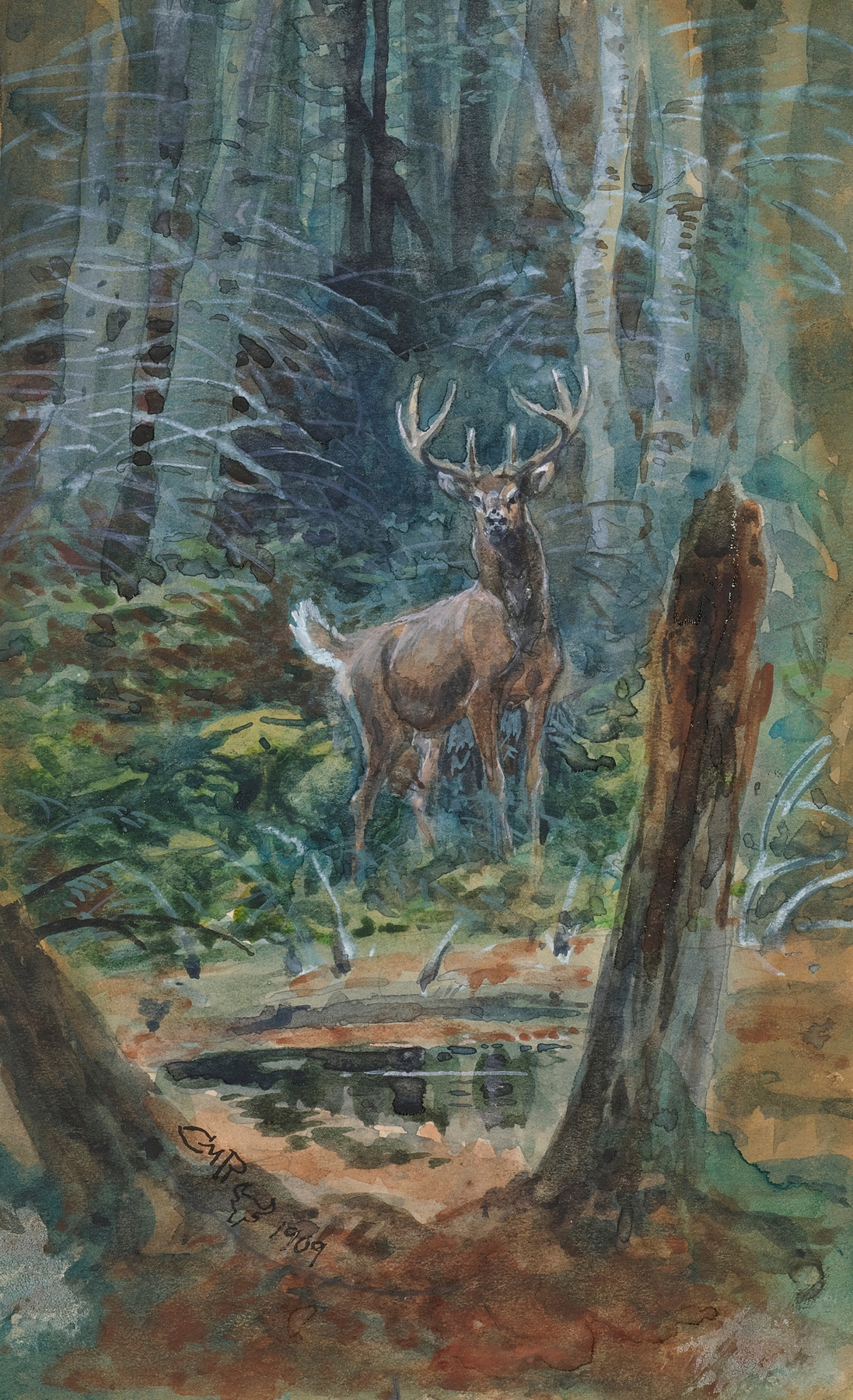 Deer In The Dell by Charles Marion Russell, oil on canvas, depicts deer in a forest with dappled light.