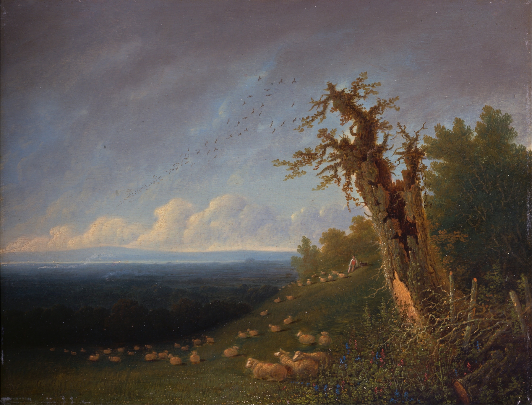 Shepherd Boy on a Hillside, oil on canvas by William Turner of Oxford