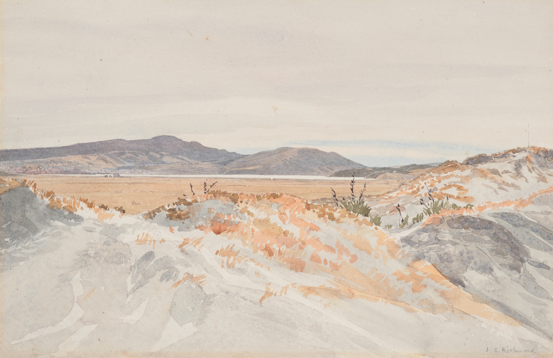 Landscape of Dunedin from the Ocean Beach by James Crowe Richmond, oil painting