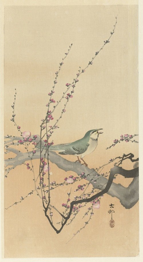 A beautiful representation of a songbird perched among plum blossoms.