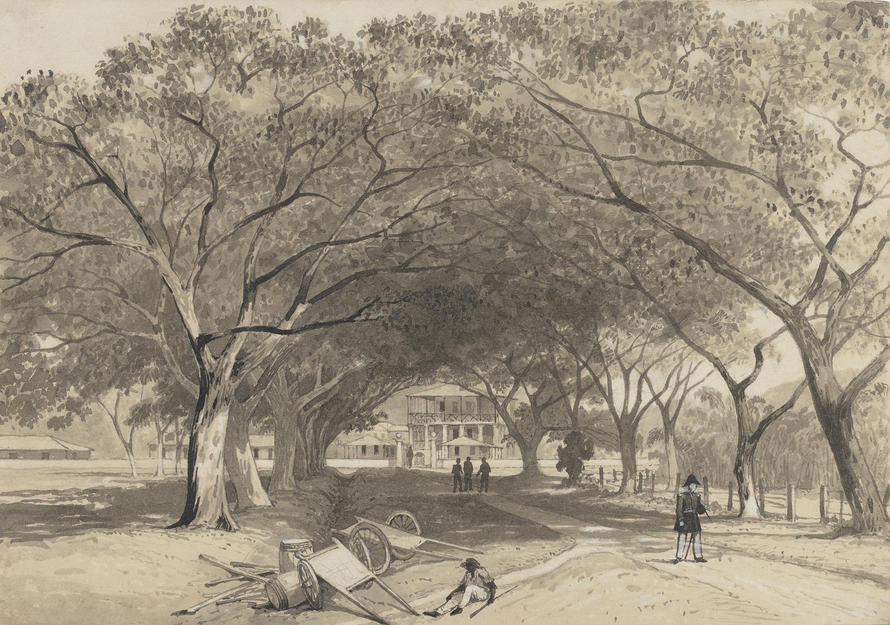 Avenue and Entrance to St. James Barracks by Michel Jean Cazabon, oil painting depicting a pathway and greenery.