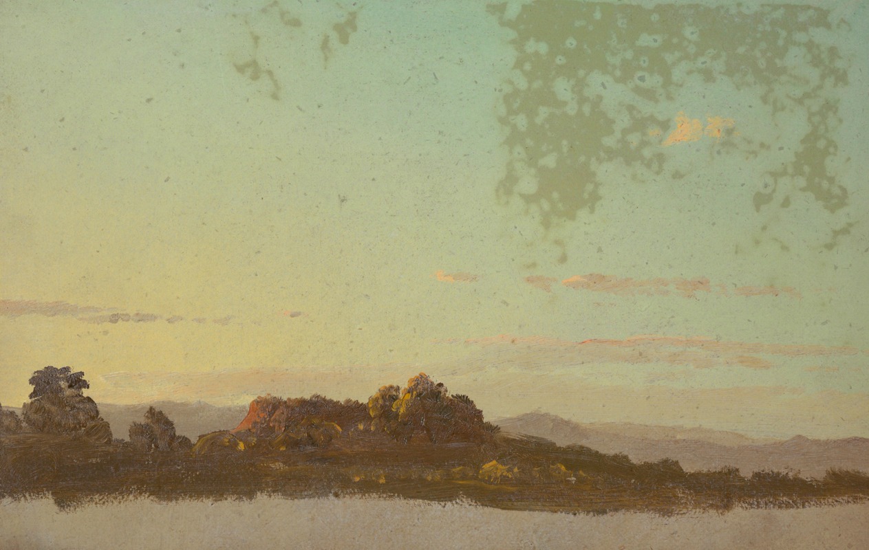 Summer landscape