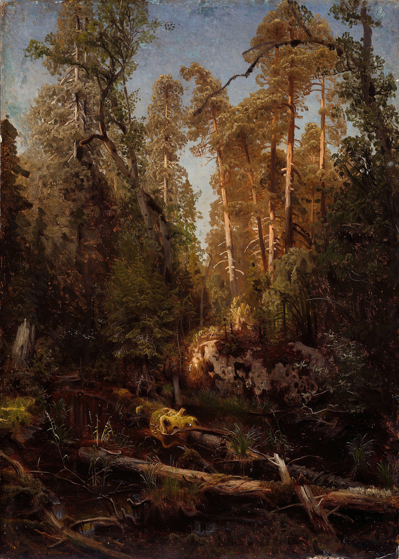 Forest Study by August Cappelen, oil on canvas depicting a serene forest landscape.