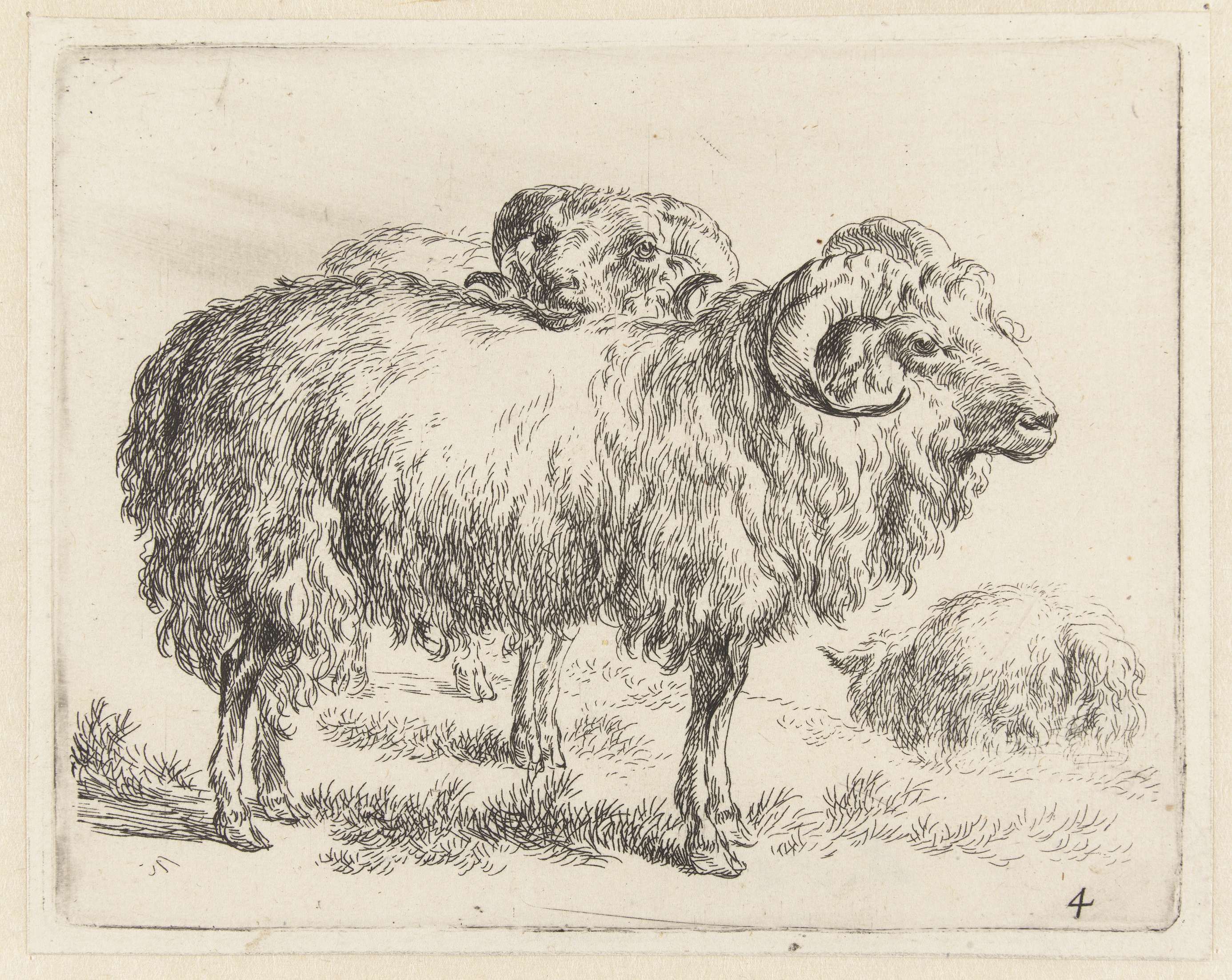 Twee rammen en een schaap, by Nicolaes Pietersz Berchem, public domain