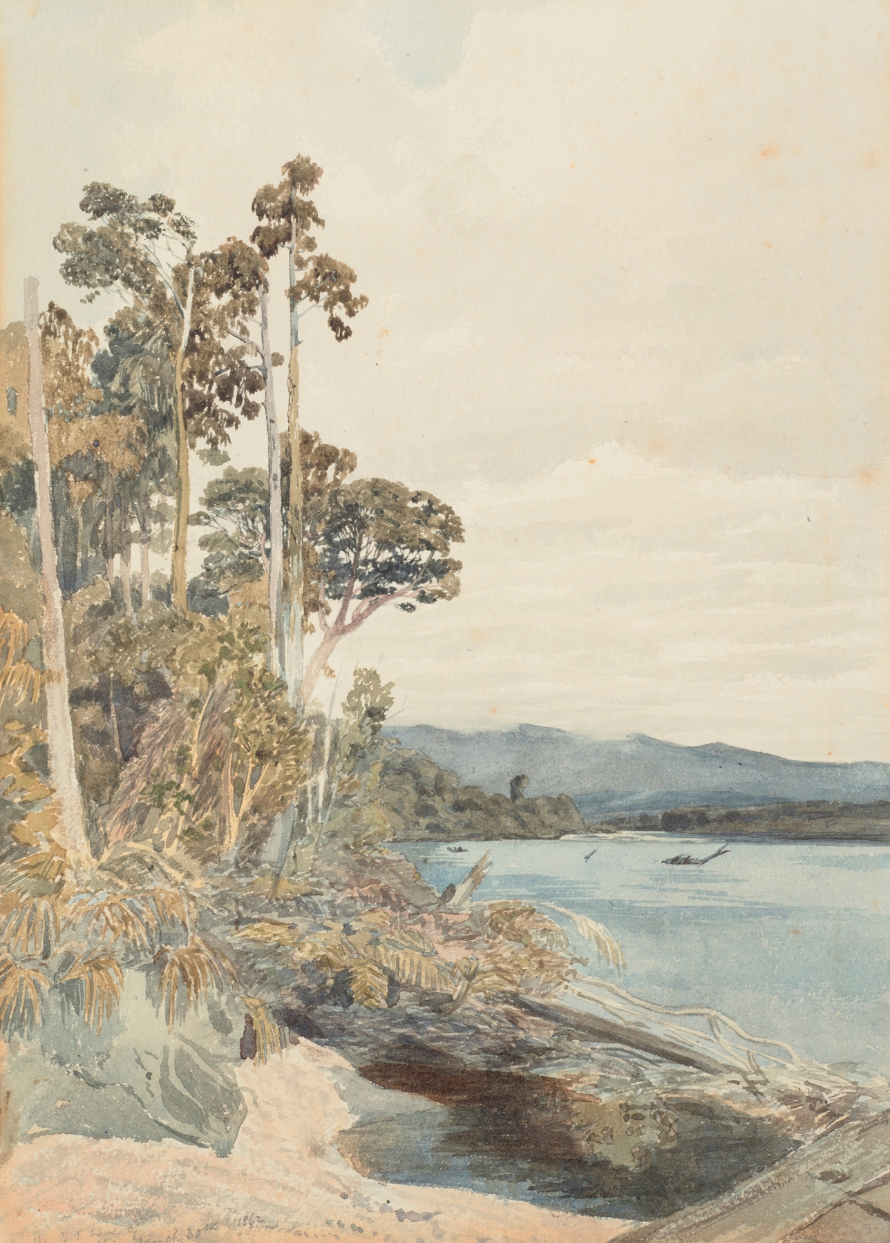 On the North East bank of the Buller, oil painting by James Crowe Richmond, depicting a misty river and forest.