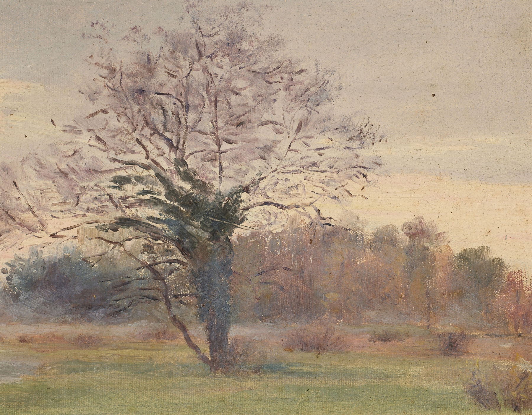 Oil on canvas by Jeanne Jegou-Cadart depicting a grand tree in a sunlit meadow.