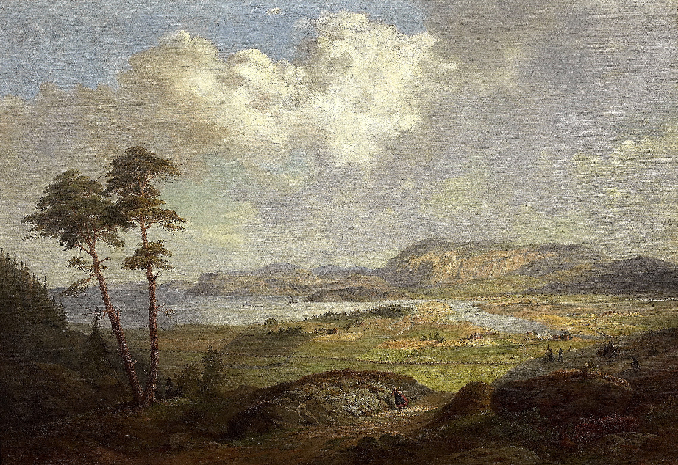 Landscape from Tröndelagen by Charles XV of Sweden, oil painting depicting rolling hills and wildflowers.