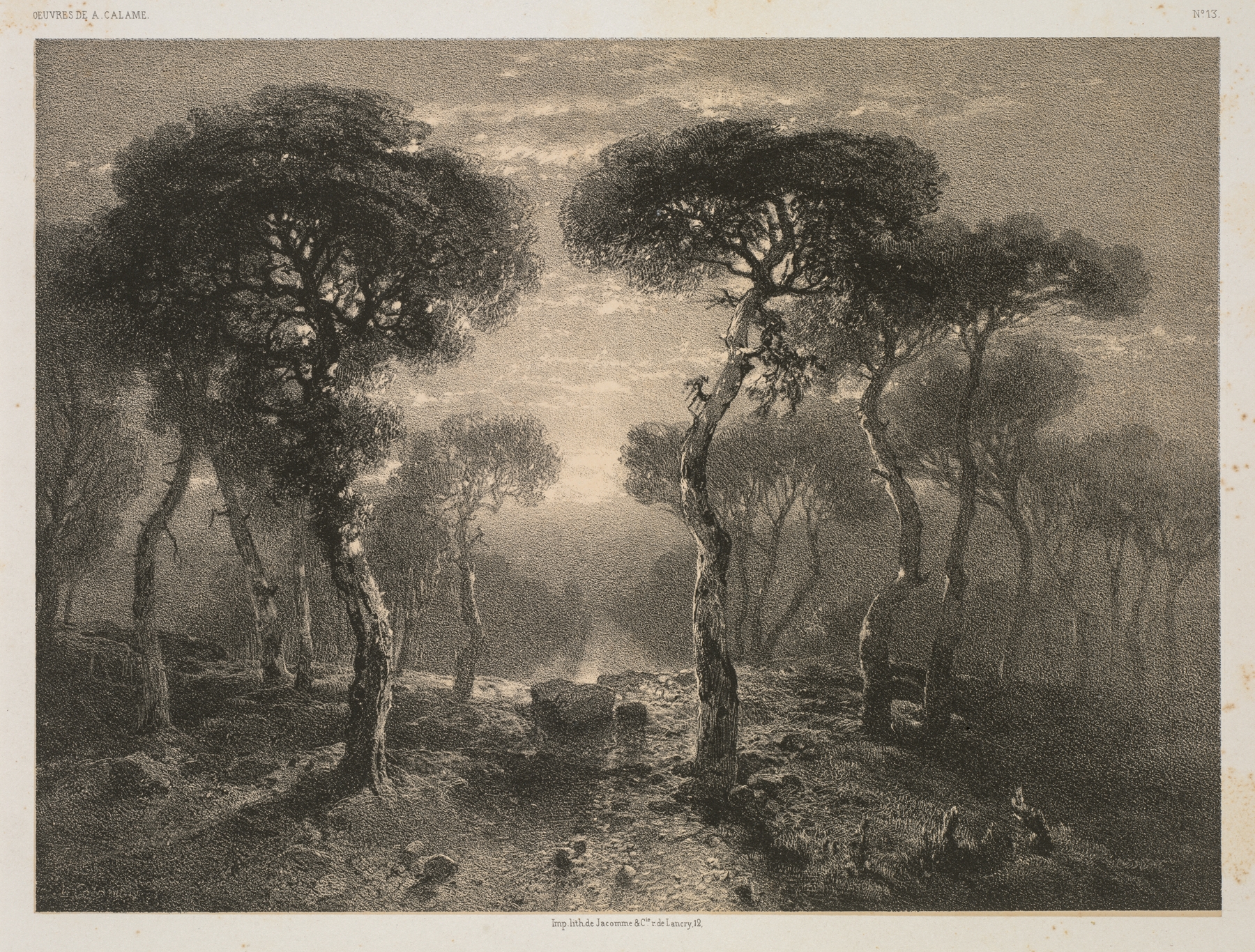 Forêt de Sierre en Valais, by Alexandre Calame, public domain