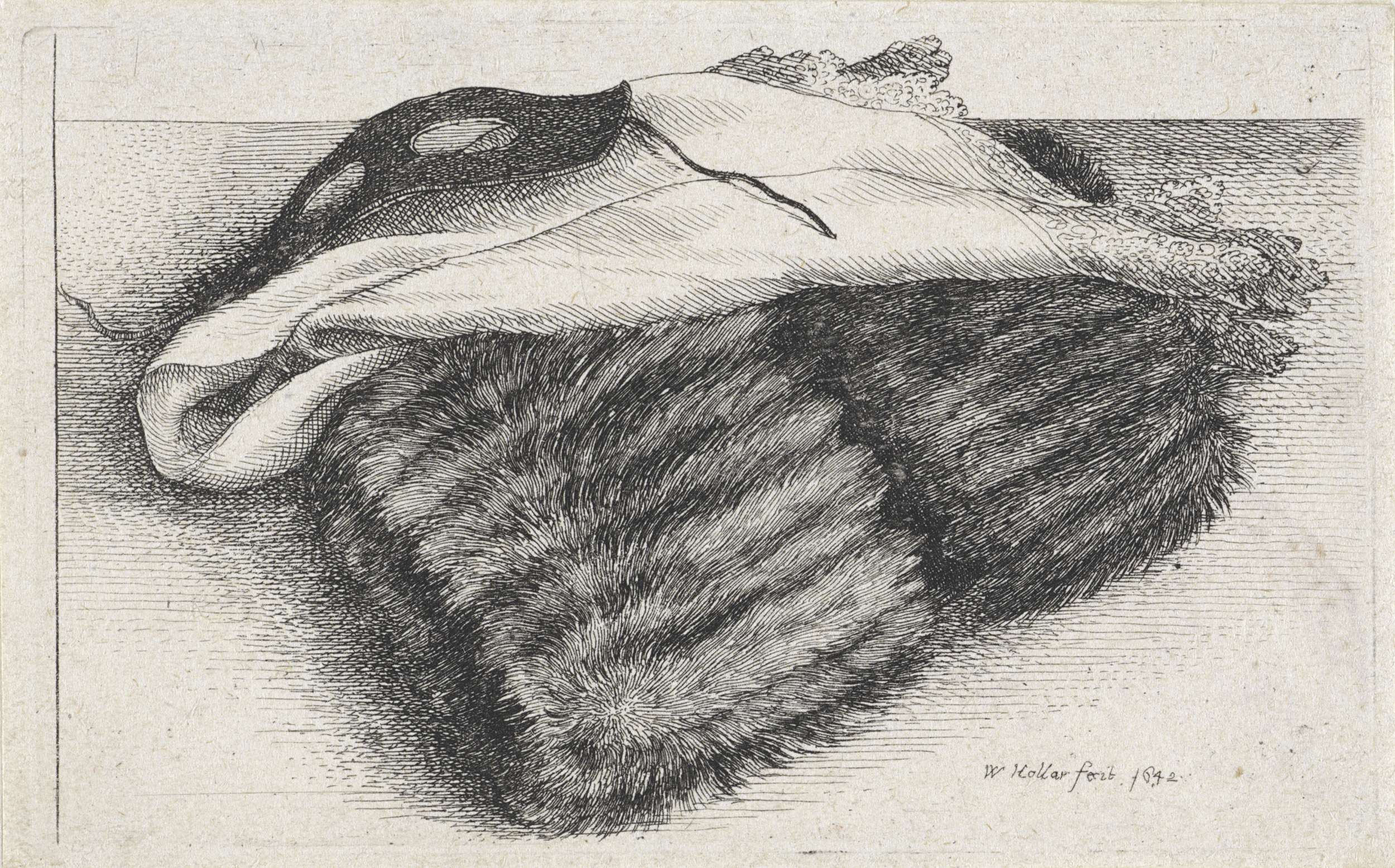 Mof van bont, een zakdoek en een masker, by Wenceslaus Hollar, public domain