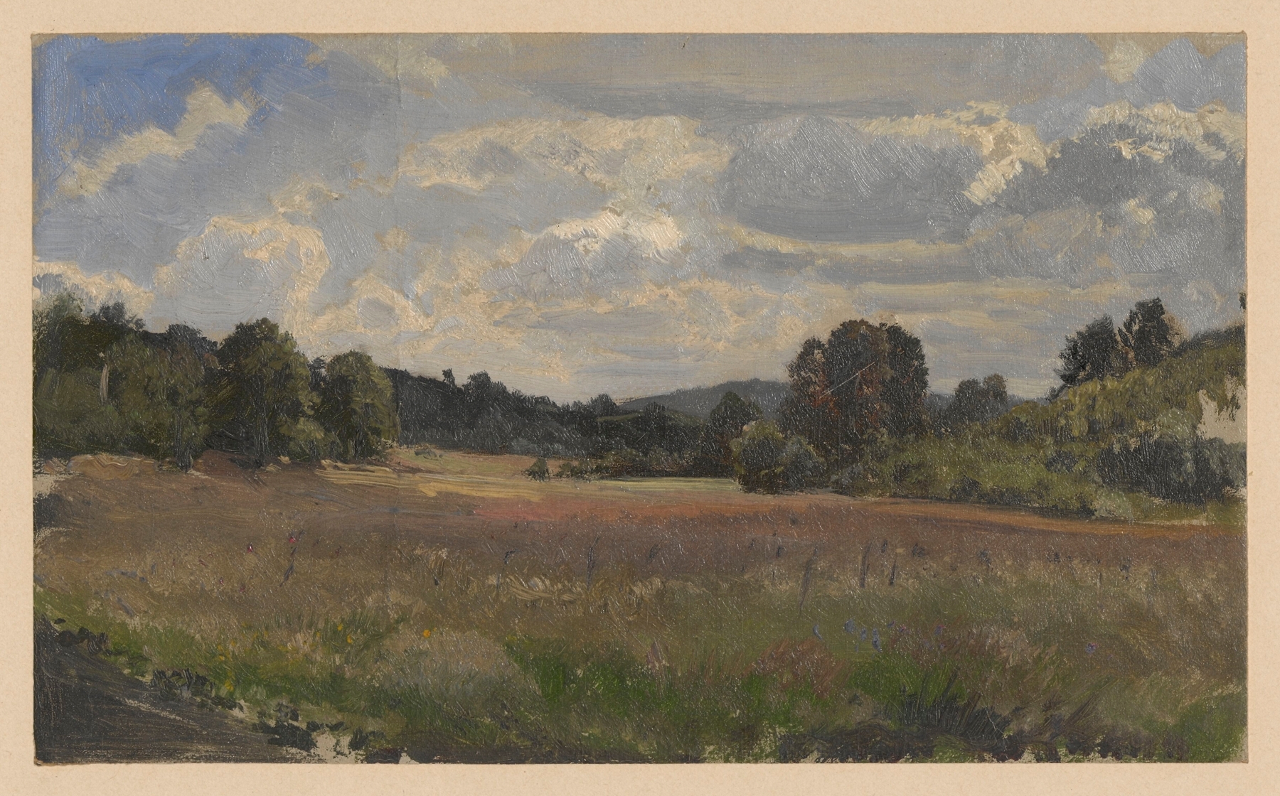Landscape featuring a meadow with wildflowers by Adolf Dressler, oil painting