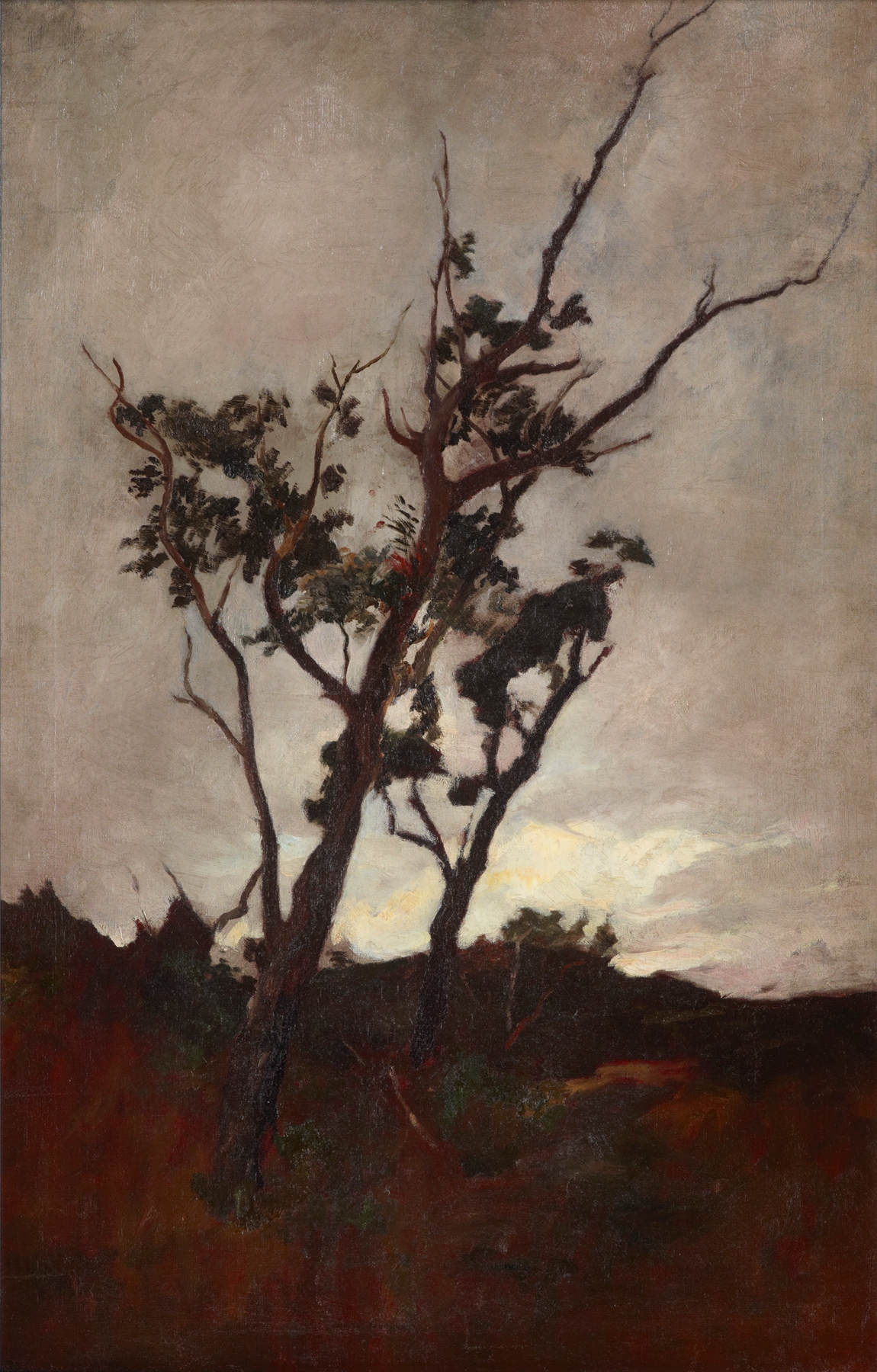 Tree study by Petrus van der Velden, oil on canvas depicting trees and dappled light