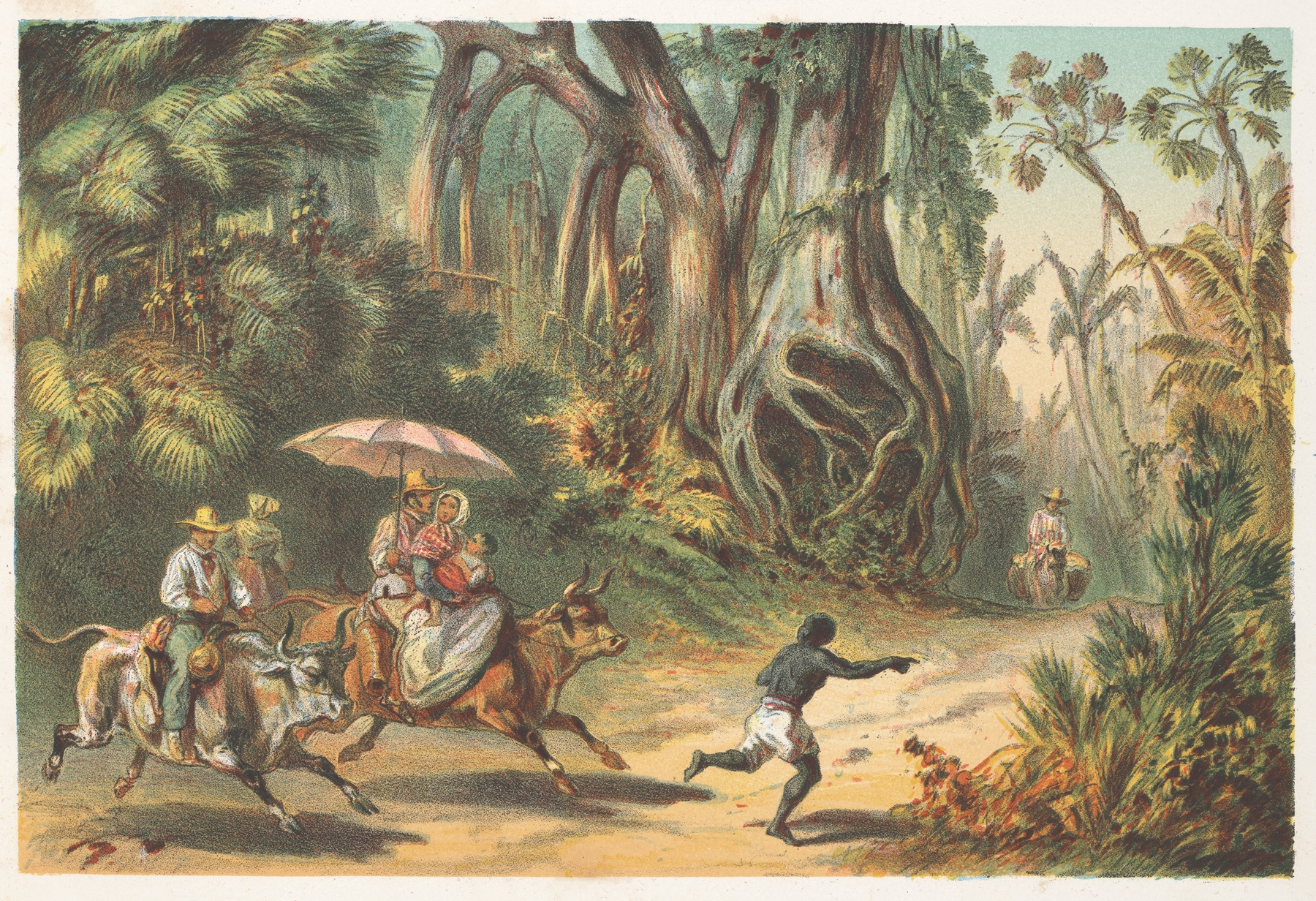 Landscape with vibrant jungle and light by Pierre Toussaint Frédéric Mialhe, oil painting