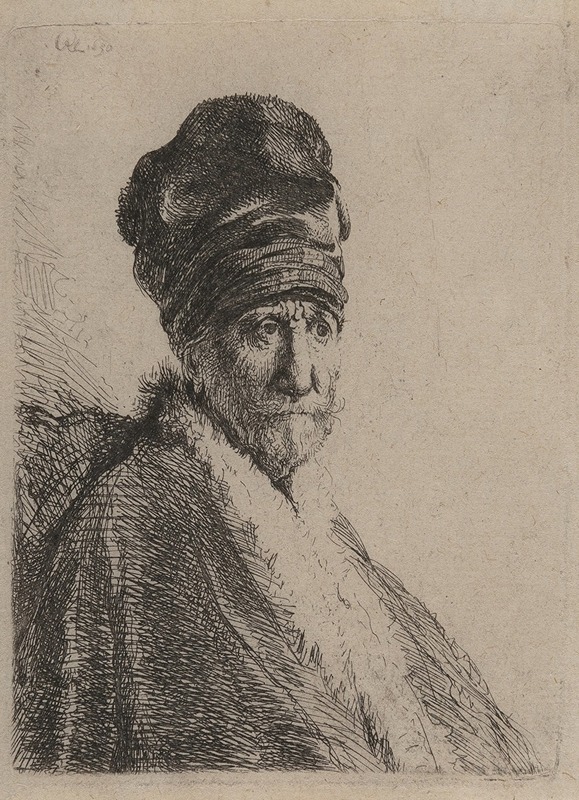 A portrait of a man wearing a high cap, painted by Rembrandt.