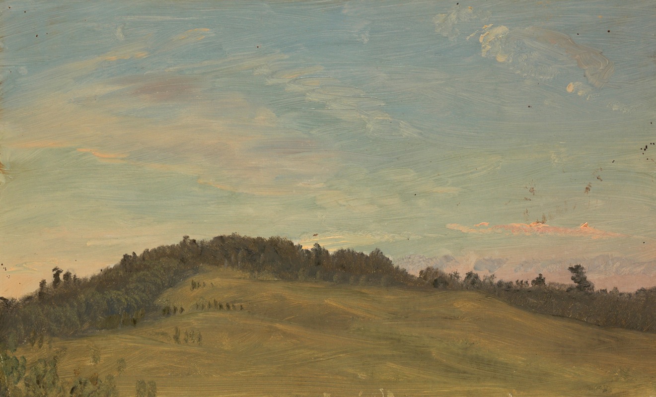 Summer landscape