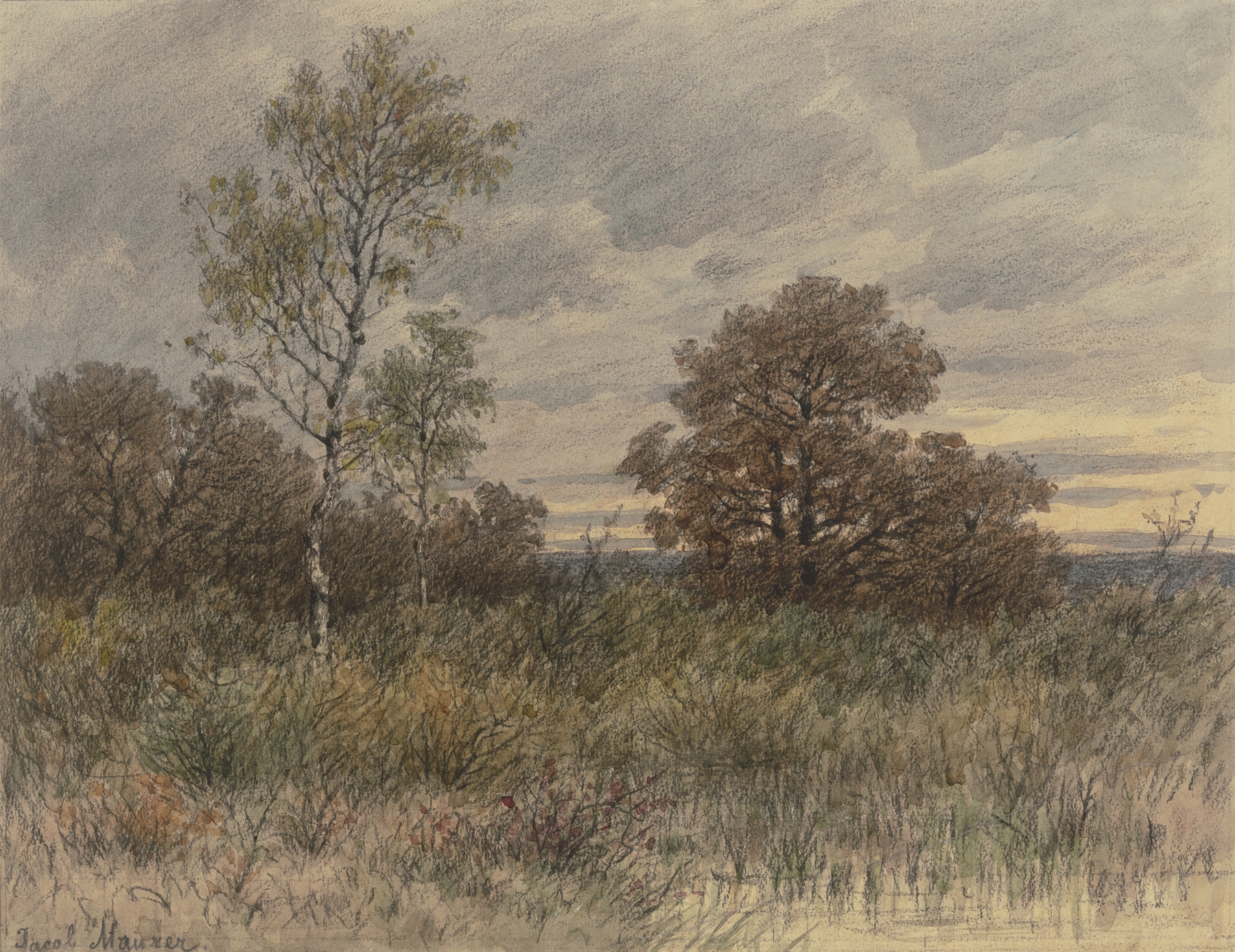 Landscape with oaks and birches in swampy terrain by Jakob Maurer