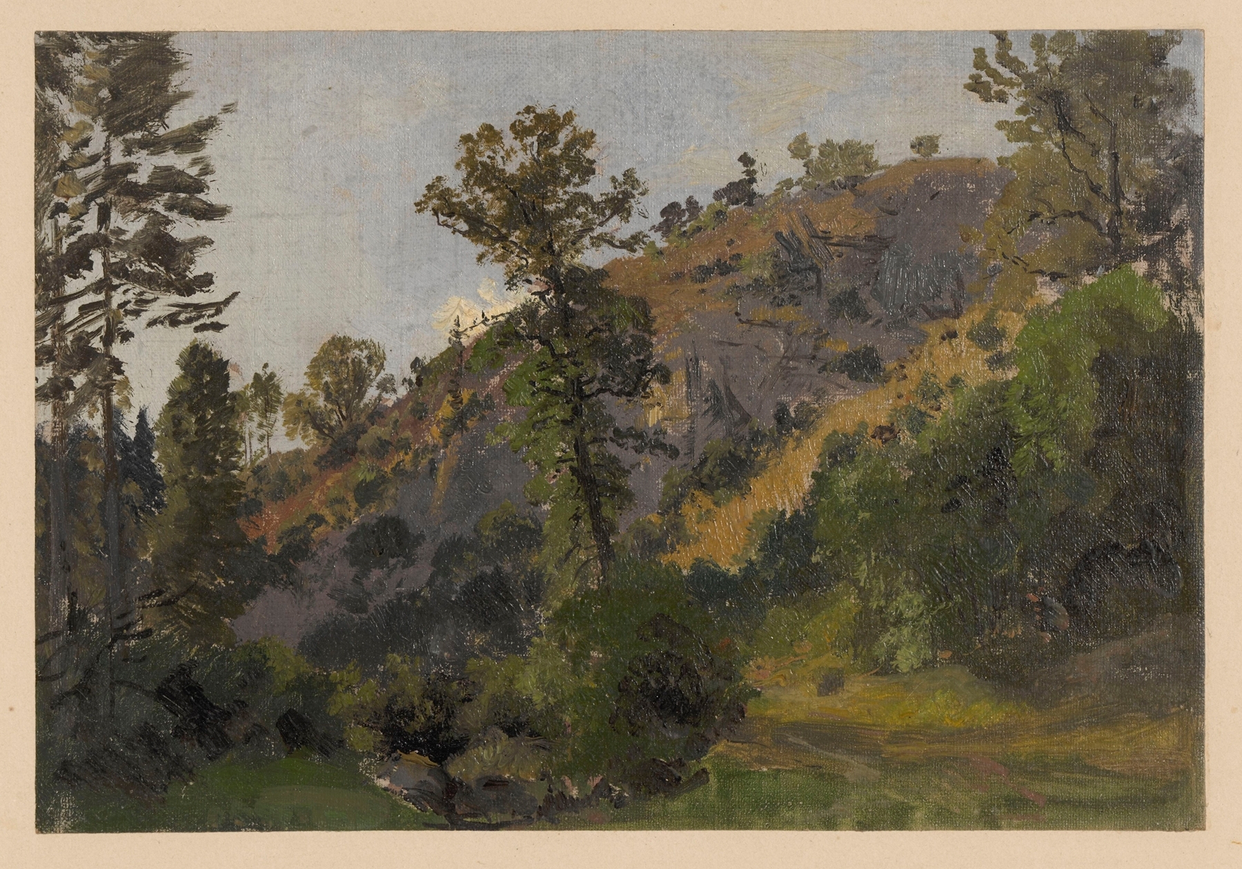 Slope overgrown with trees in the Szczawnik valley, oil on canvas by Adolf Dressler