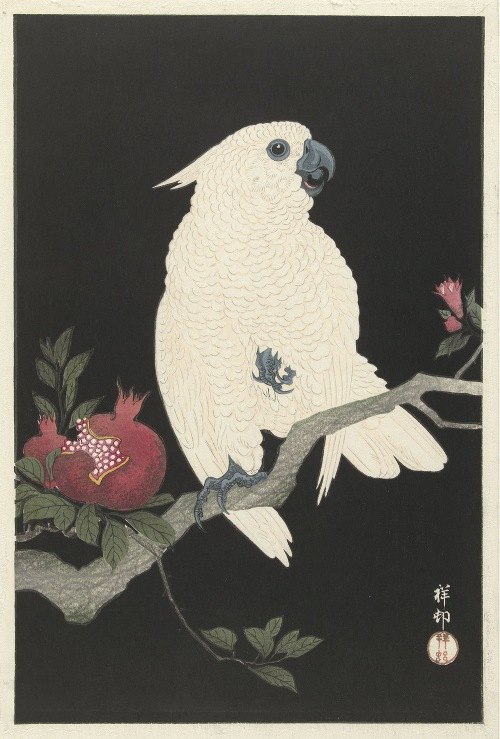 This artwork features a cockatoo perched beside a pomegranate, showcasing vibrant colors and intricate details.