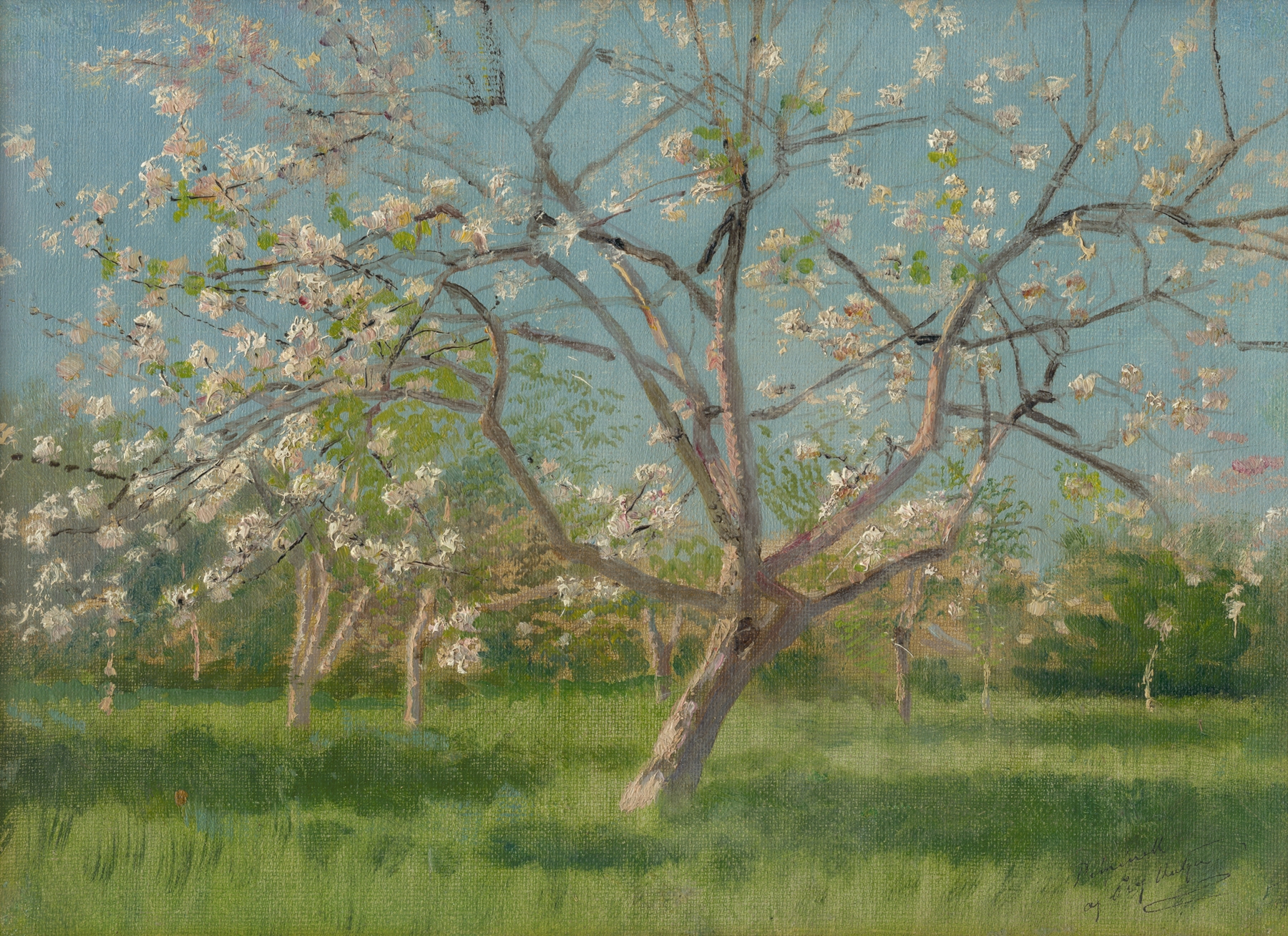 Study of Blooming Trees in an Orchard by Ladislav Mednyánszky, oil painting depicting blossoming trees.