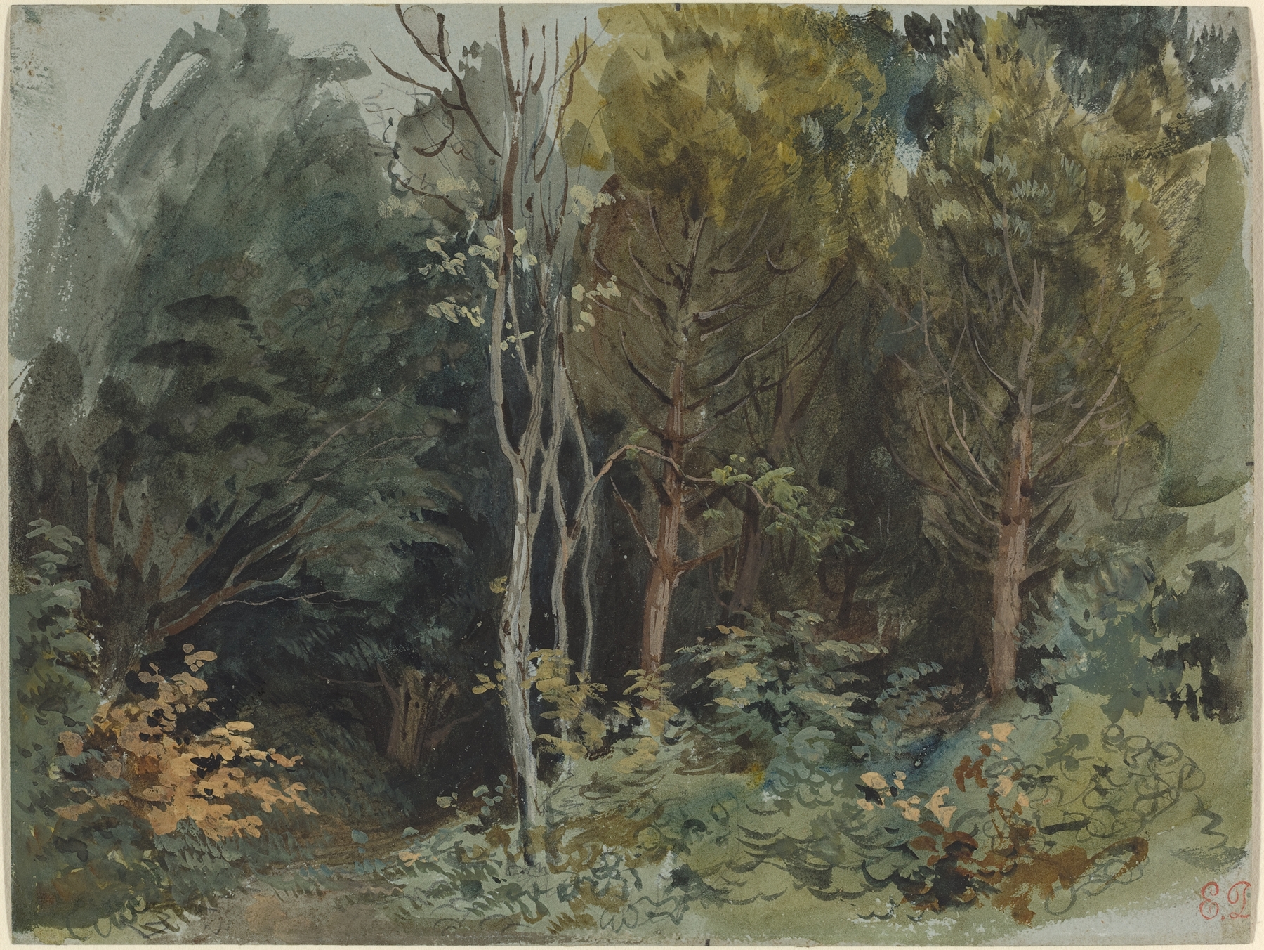 The Edge of a Wood at Nohant, by Eugène Delacroix, public domain