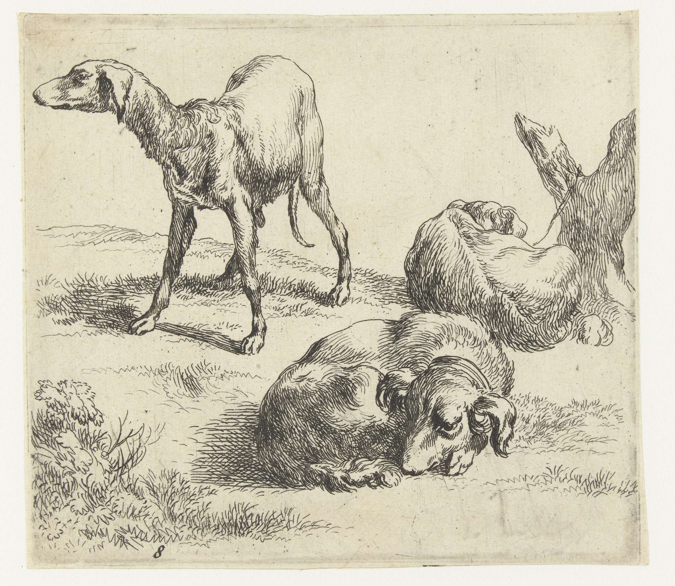 Drie honden, by Nicolaes Pietersz Berchem, public domain